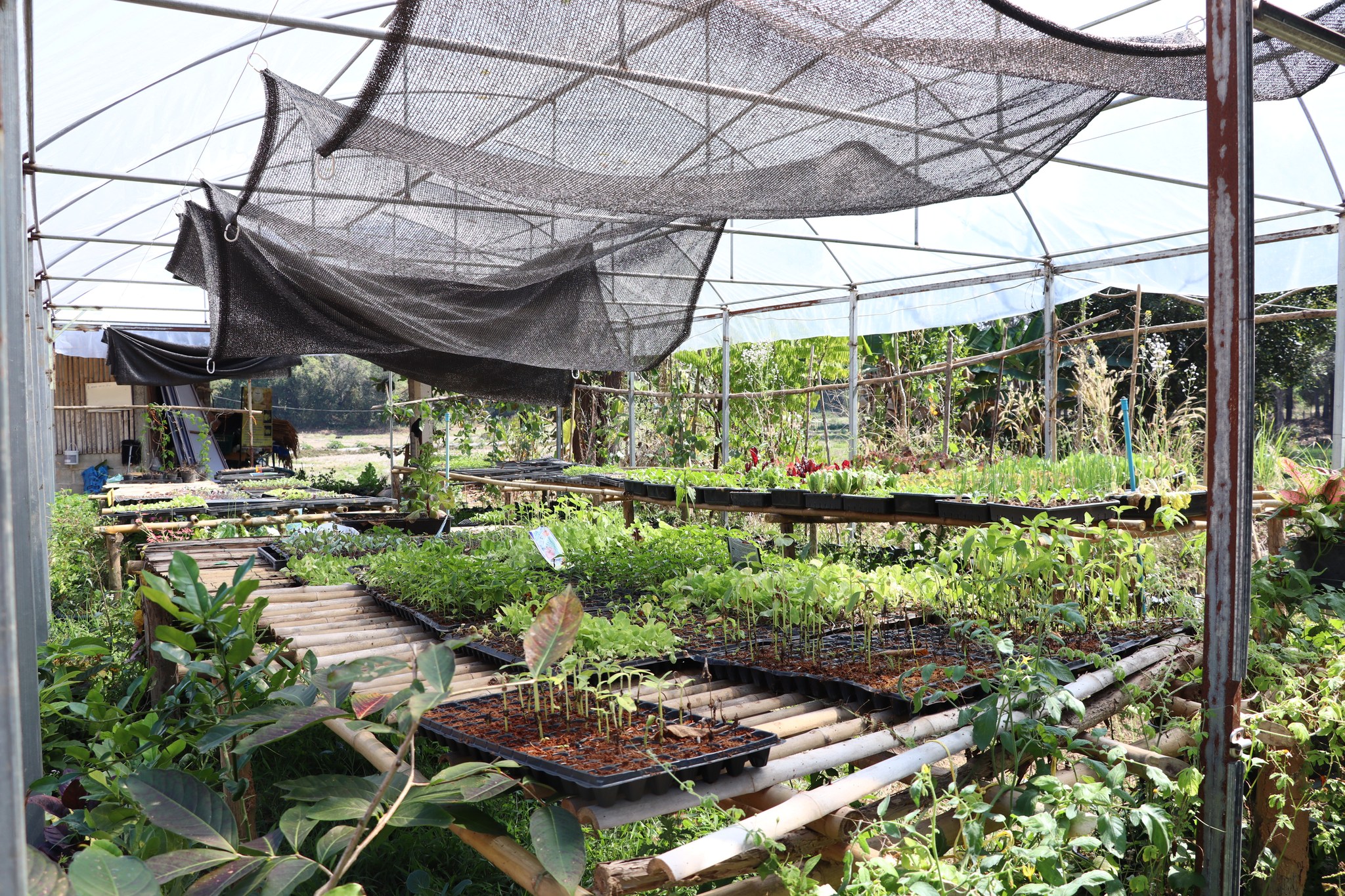 title - กพก. ติดตามการดำเนินงานกลุ่มสมุนไพรแปลงใหญ่ บ่อสวกเฮิร์บ ต.บ่อสวก จ.น่าน