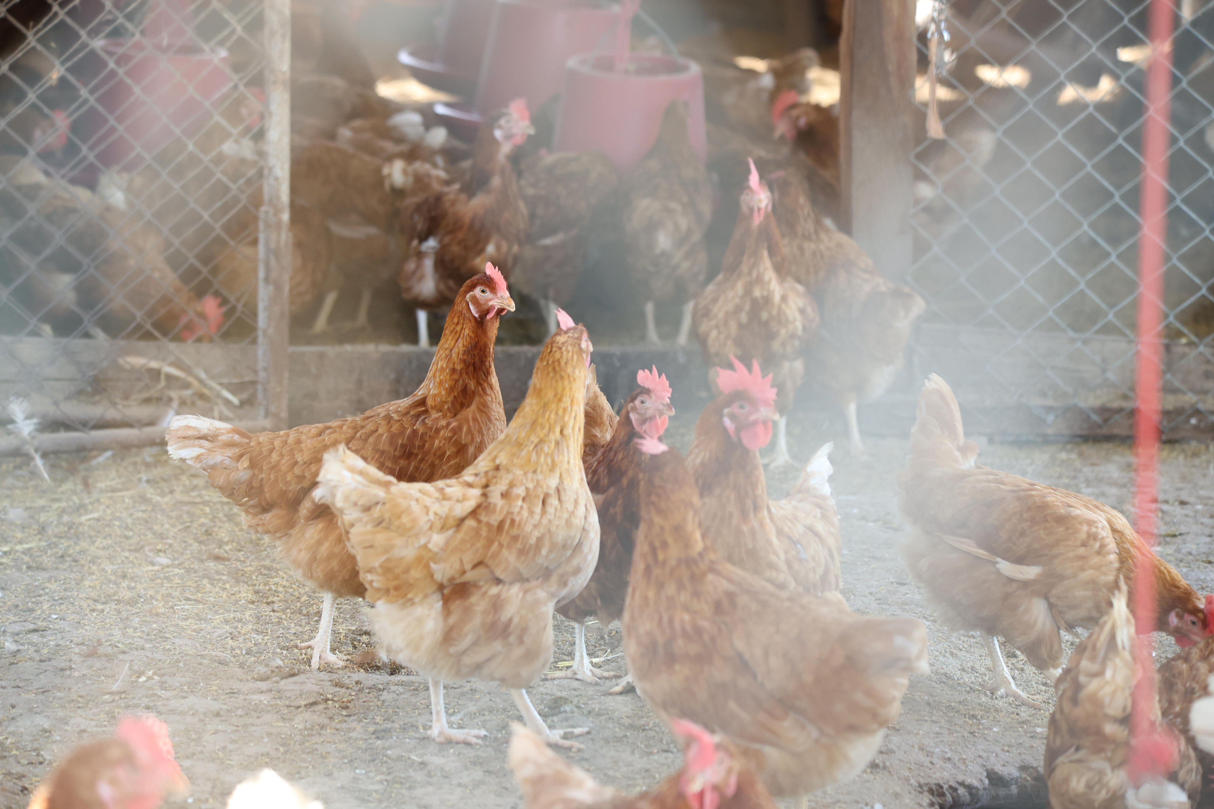 title - เกษตรกรผู้นำ คทช. ส.ป.ก. ลงพื้นที่ดูงานที่สหกรณ์ คทช. ดงกล้วย ถอดโมเดลความสำเร็จ