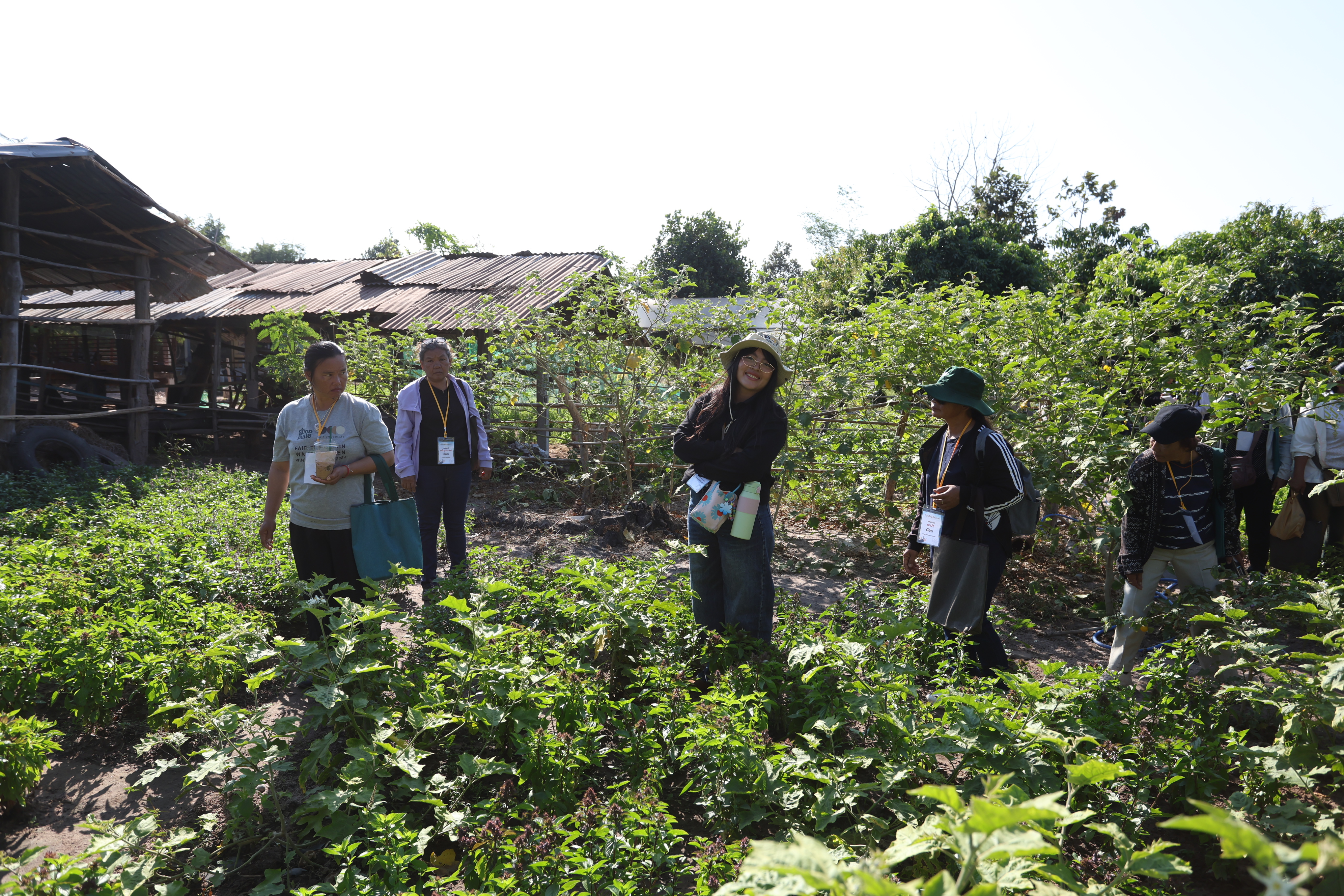 title - เกษตรกรผู้นำ คทช. ส.ป.ก. ลงพื้นที่ดูงานที่สหกรณ์ คทช. ดงกล้วย ถอดโมเดลความสำเร็จ
