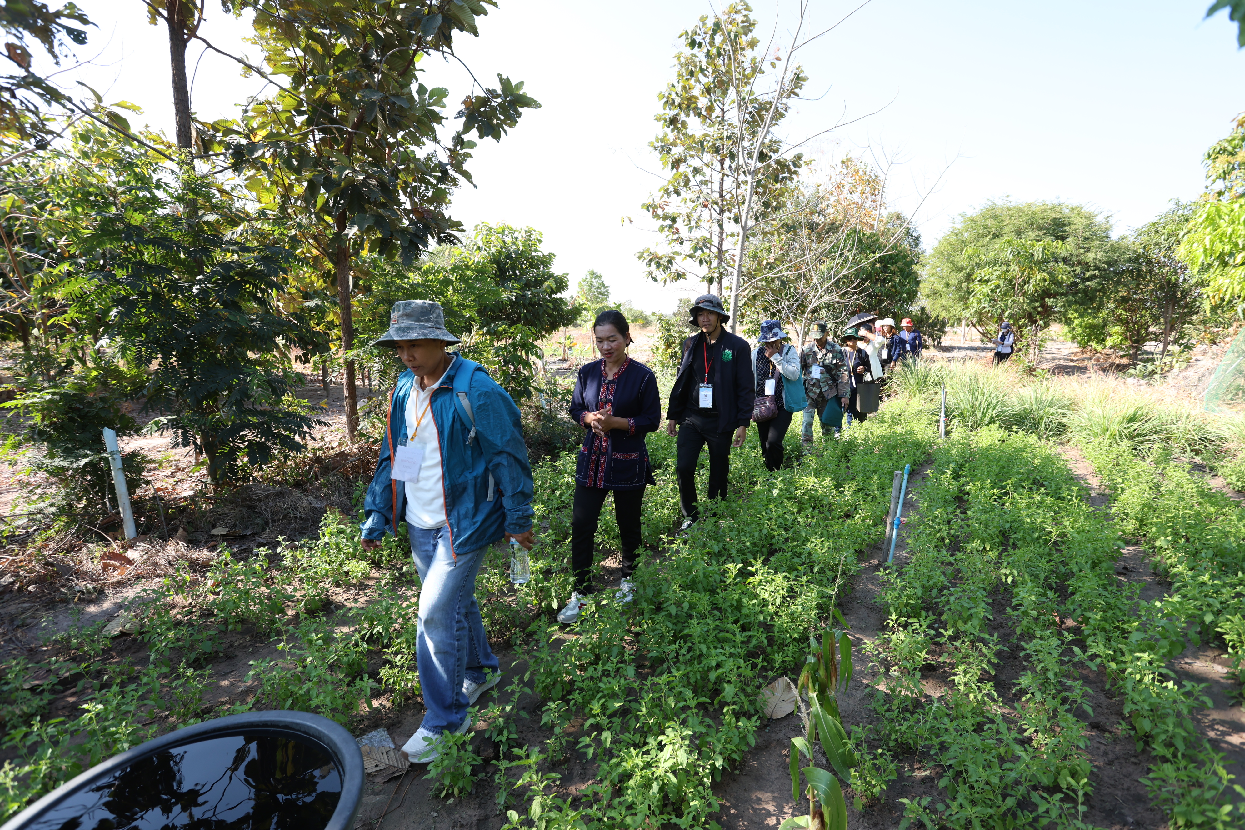 title - เกษตรกรผู้นำ คทช. ส.ป.ก. ลงพื้นที่ดูงานที่สหกรณ์ คทช. ดงกล้วย ถอดโมเดลความสำเร็จ