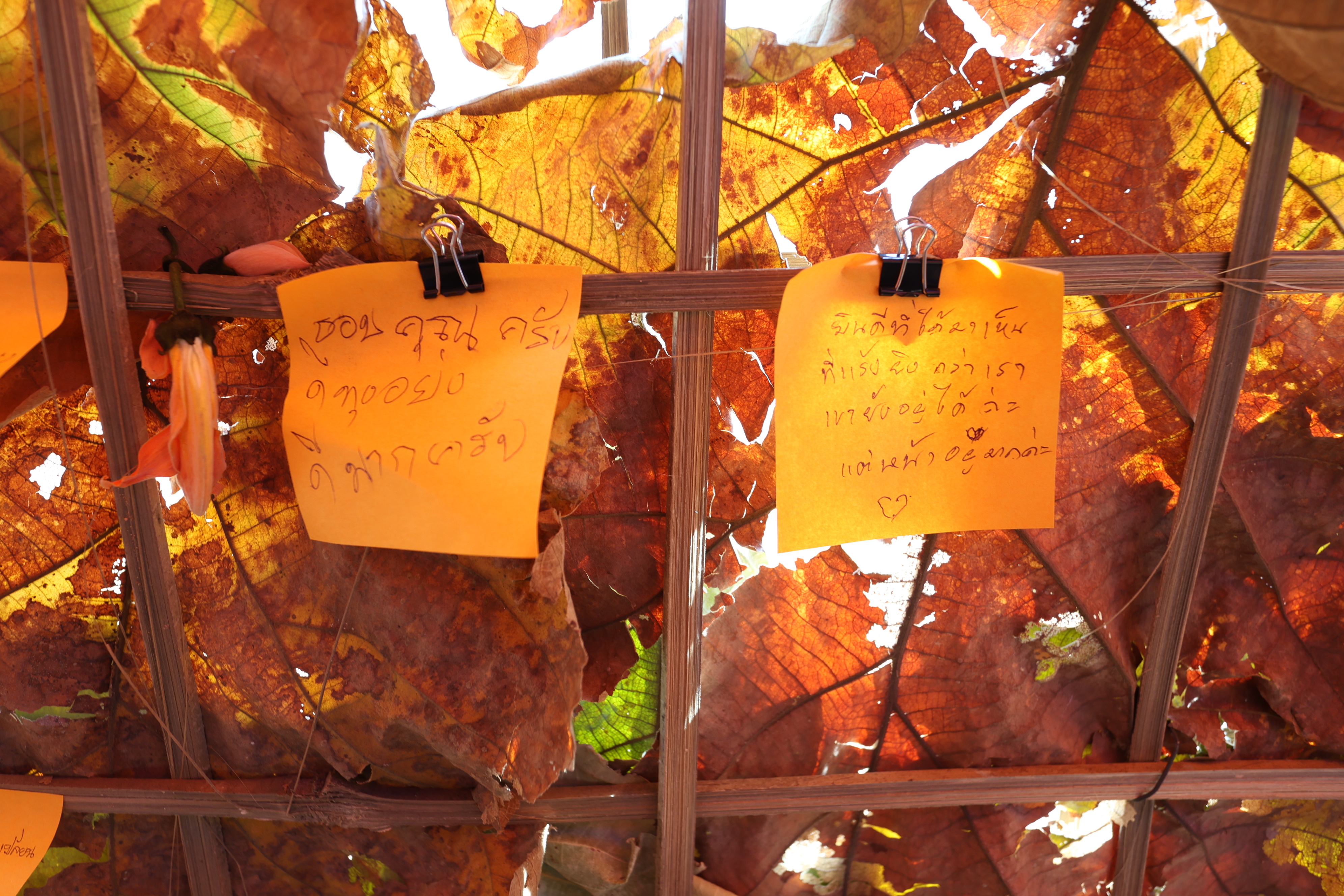 title - เกษตรกรผู้นำ คทช. ส.ป.ก. ลงพื้นที่ดูงานที่สหกรณ์ คทช. ดงกล้วย ถอดโมเดลความสำเร็จ