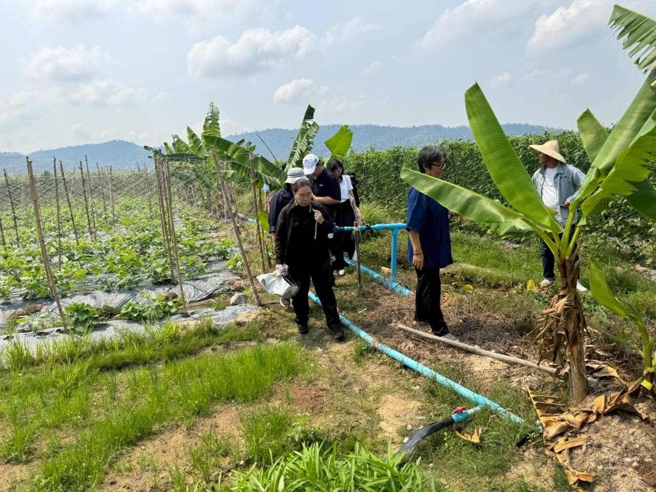 title - สพท. ร่วมคณะ ส.ป.ก. จับมือ TICA - GIZ ลงพื้นที่โครงการนำร่องระบบสูบน้ำพลังงานแสงอาทิตย์ คทช. จังหวัดชลบุรี