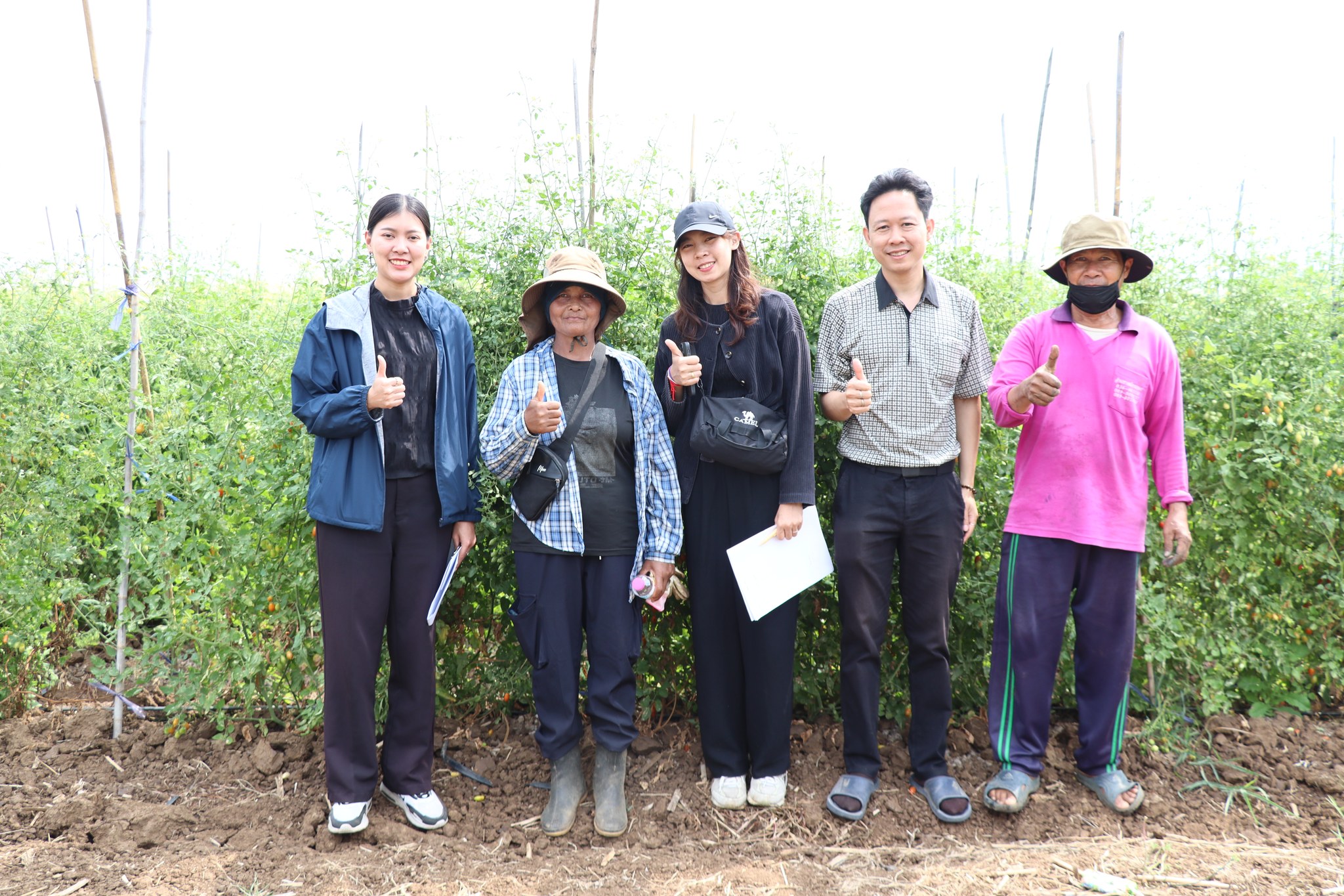 title - กพก. ลงพื้นที่แปลงใหญ่ผัก ต.หนองย่างทอย อ.ศรีเทพ จ.เพชรบูรณ์