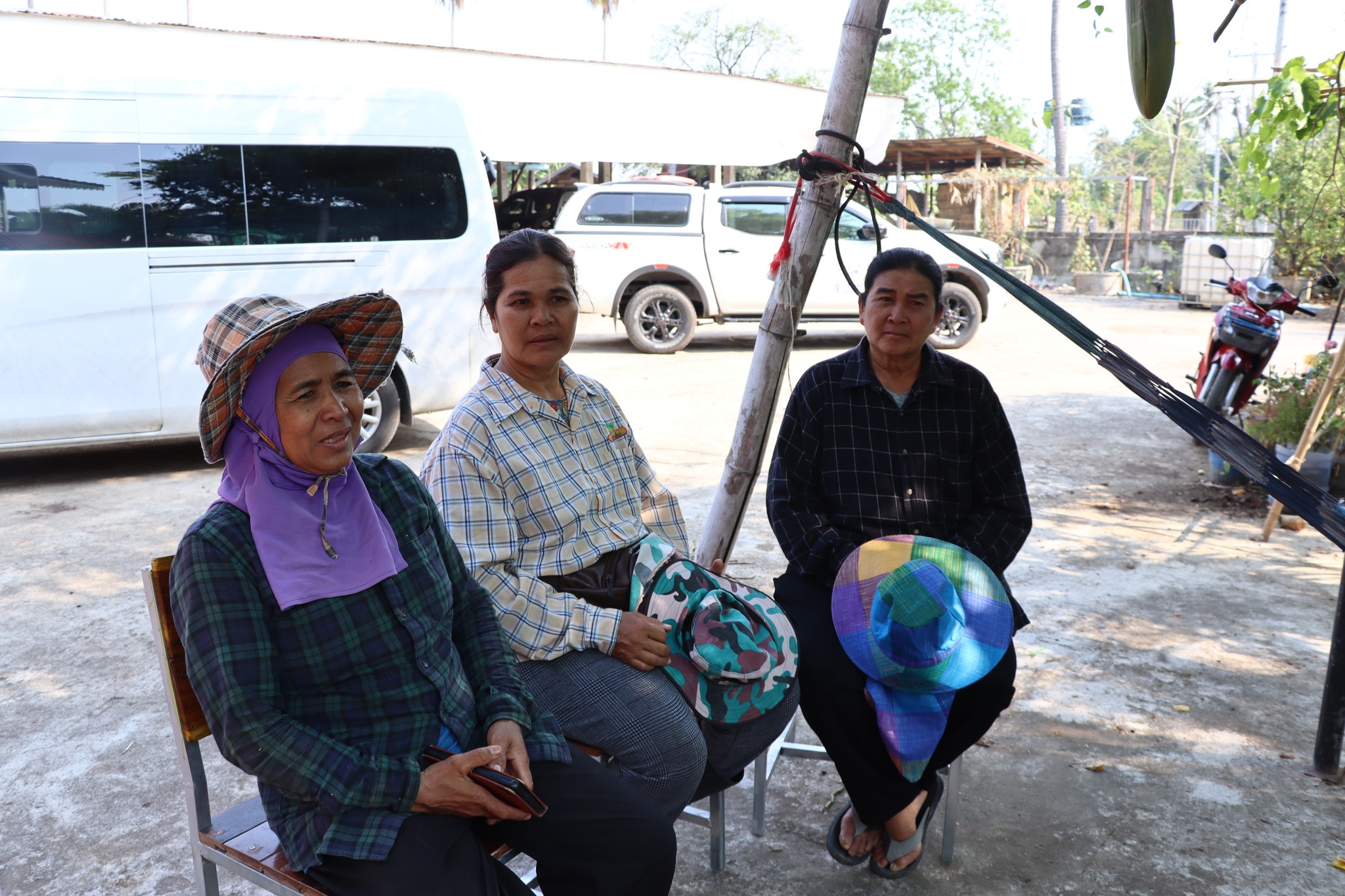 title - กพก. ลงพื้นที่ข้าวโพดเลี้ยงสัตว์ ต.เกาะรัง อ.ชัยบาดาล จ.ลพบุรี