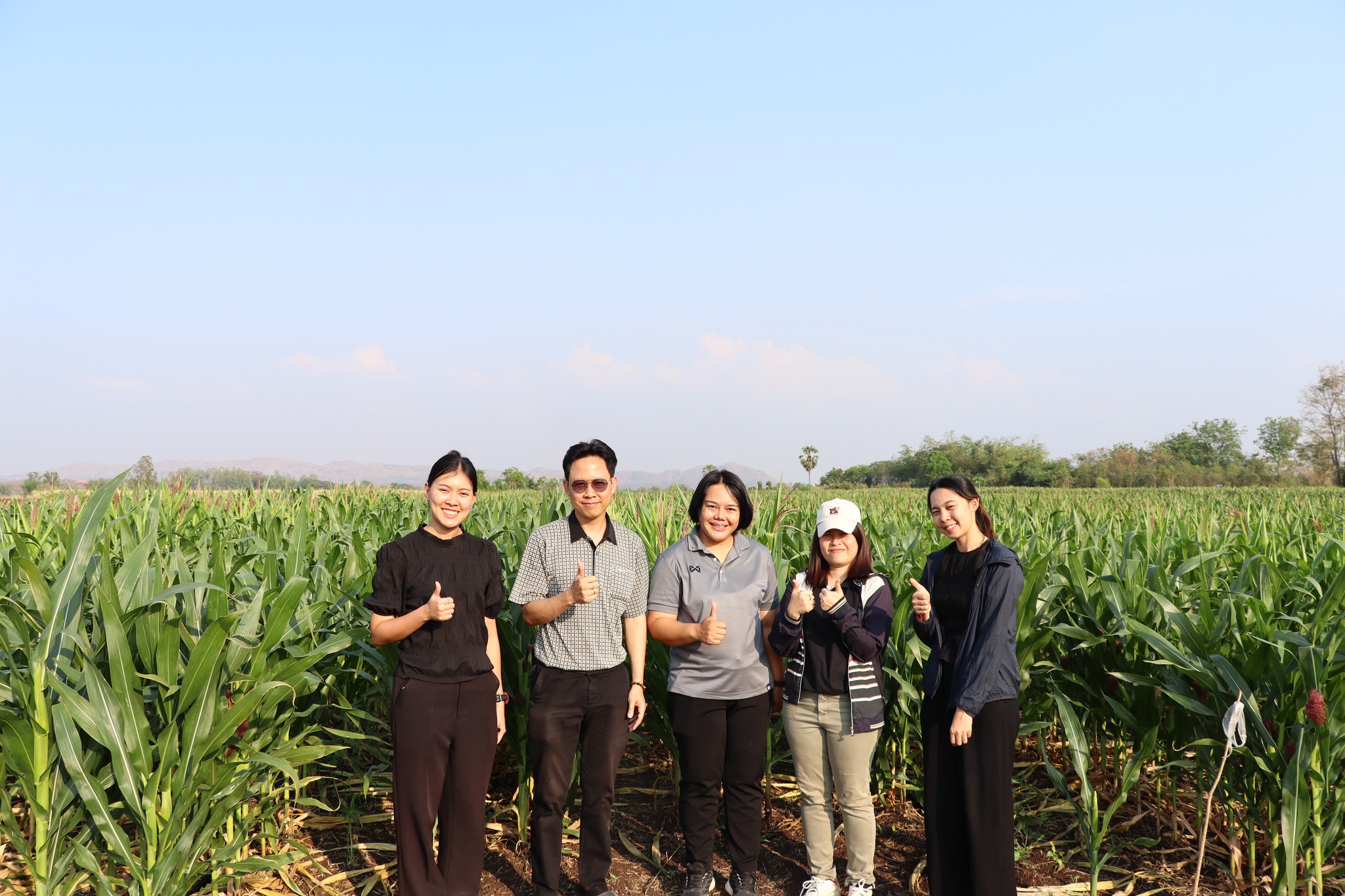 กพก. ลงพื้นที่ข้าวโพดเลี้ยงสัตว์ ต.เกาะรัง อ.ชัยบาดาล จ.ลพบุรี