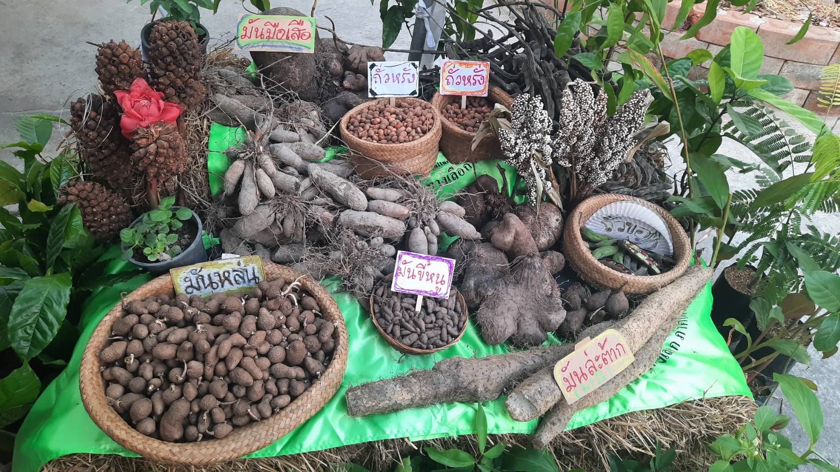 title - สพท. ร่วมงาน 