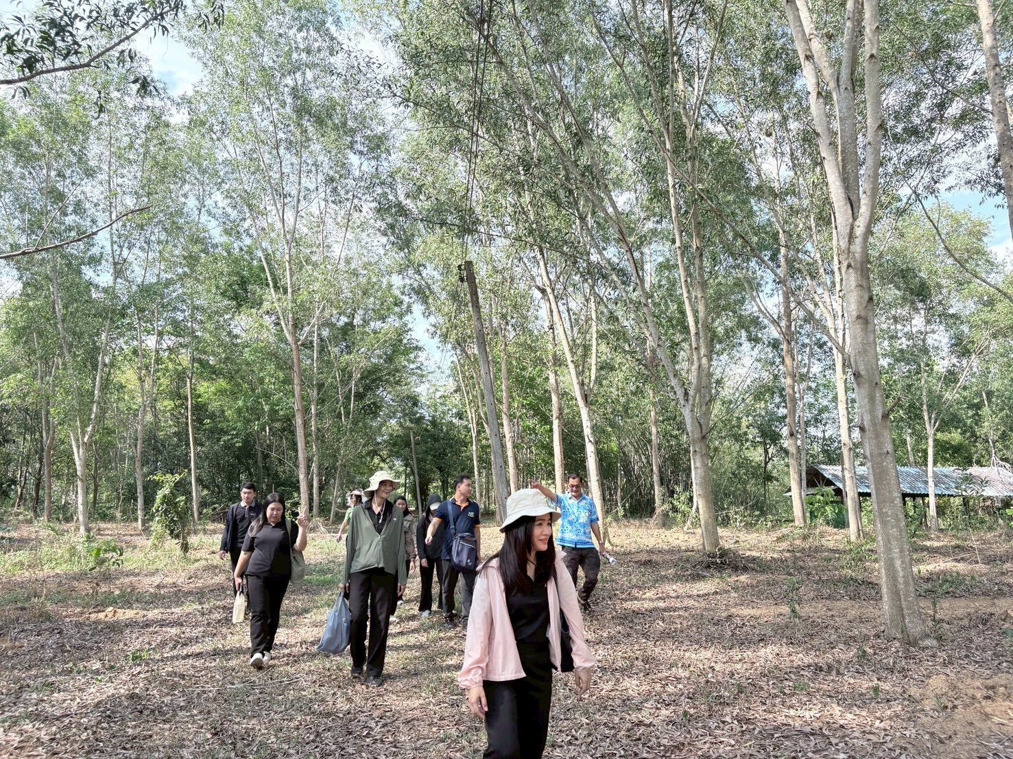 title - กอฟ. และ ศทส. ร่วมปฏิบัติงานโครงการจัดทำฐานข้อมูลลักษณะจำเพาะของต้นไม้ในเขตปฏิรูปที่ดิน จ.ชลบุรี