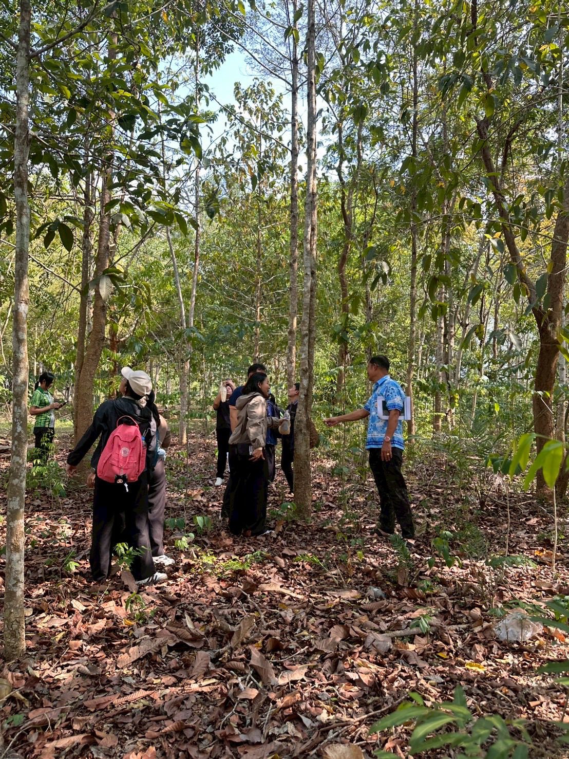 title - กอฟ. และ ศทส. ร่วมปฏิบัติงานโครงการจัดทำฐานข้อมูลลักษณะจำเพาะของต้นไม้ในเขตปฏิรูปที่ดิน จ.ชลบุรี