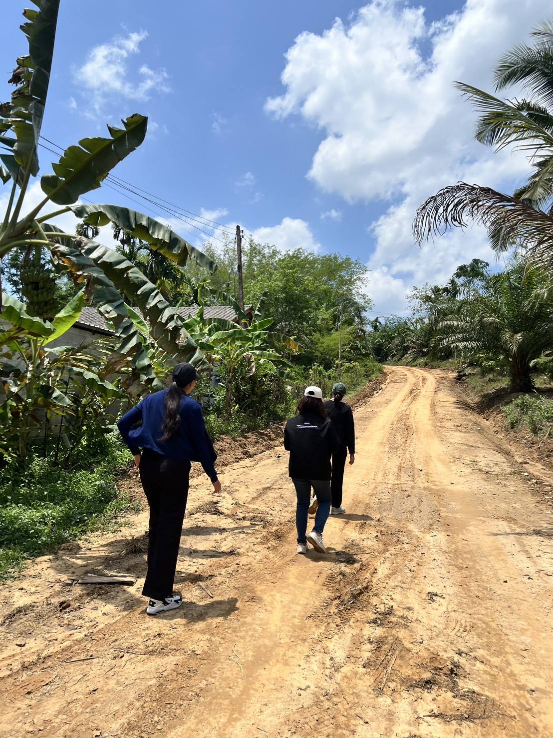 title - กพก. ลงพื้นที่แปลงใหญ่พืชผักสมุนไพร ต.คลองชะอุ่น อ.พนม จ.สุราษฎร์ธานี