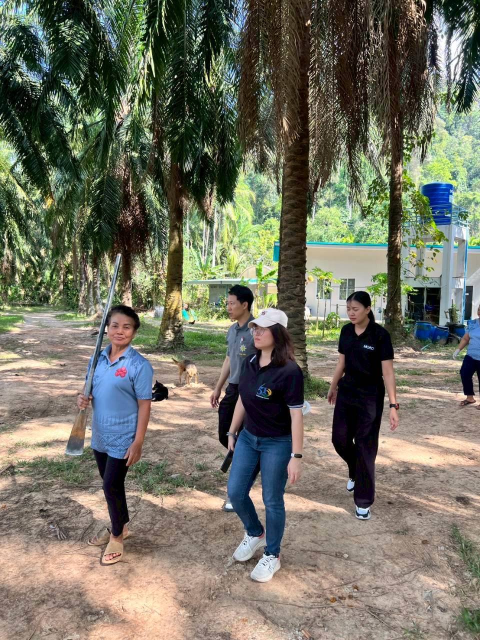 title - กพก. ลงพื้นที่แปลงใหญ่สมุนไพร ตำบลต้นยวน อำเภอพนม จังหวัดสุราษฎร์ธานี