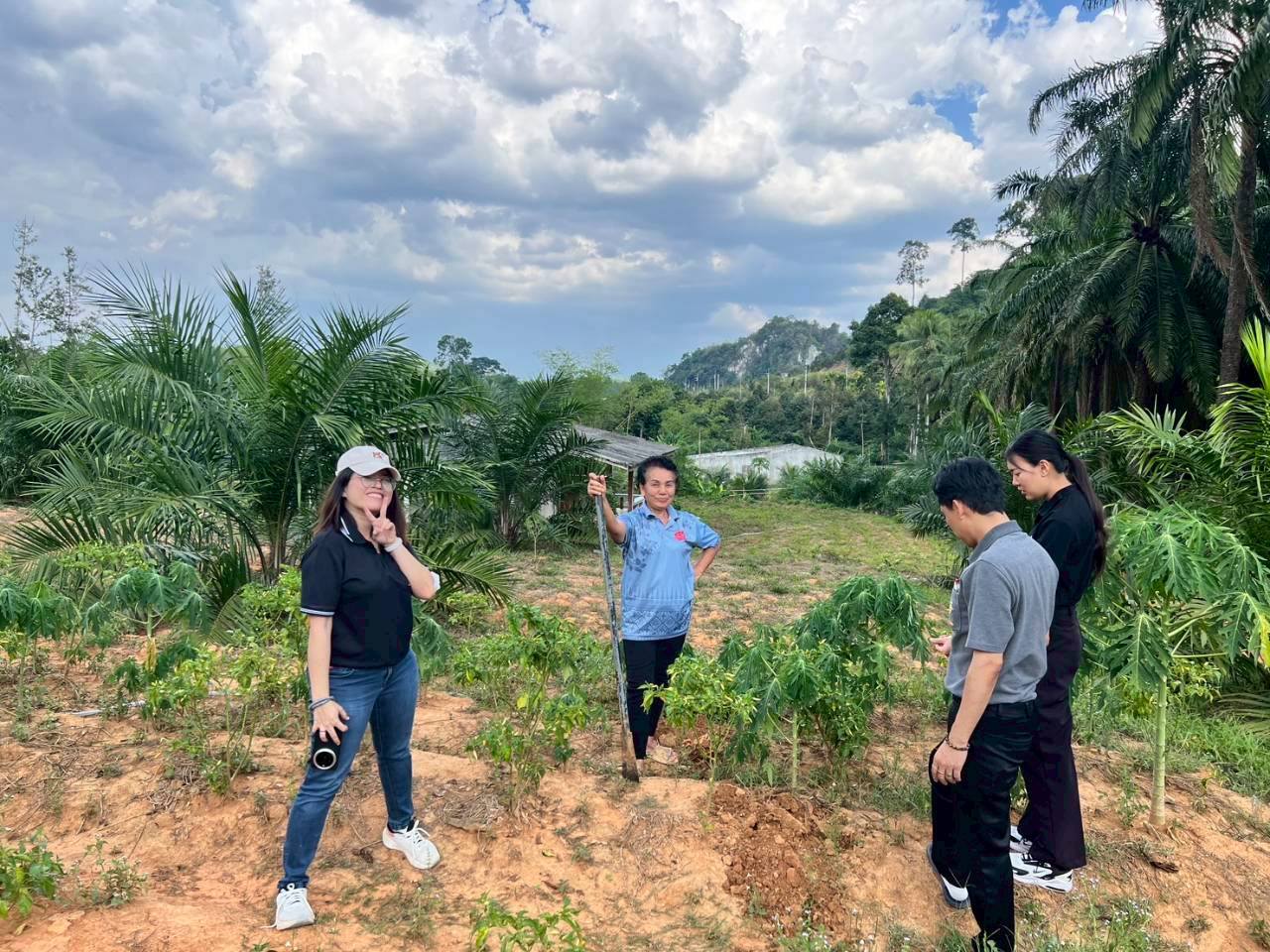 title - กพก. ลงพื้นที่แปลงใหญ่สมุนไพร ตำบลต้นยวน อำเภอพนม จังหวัดสุราษฎร์ธานี