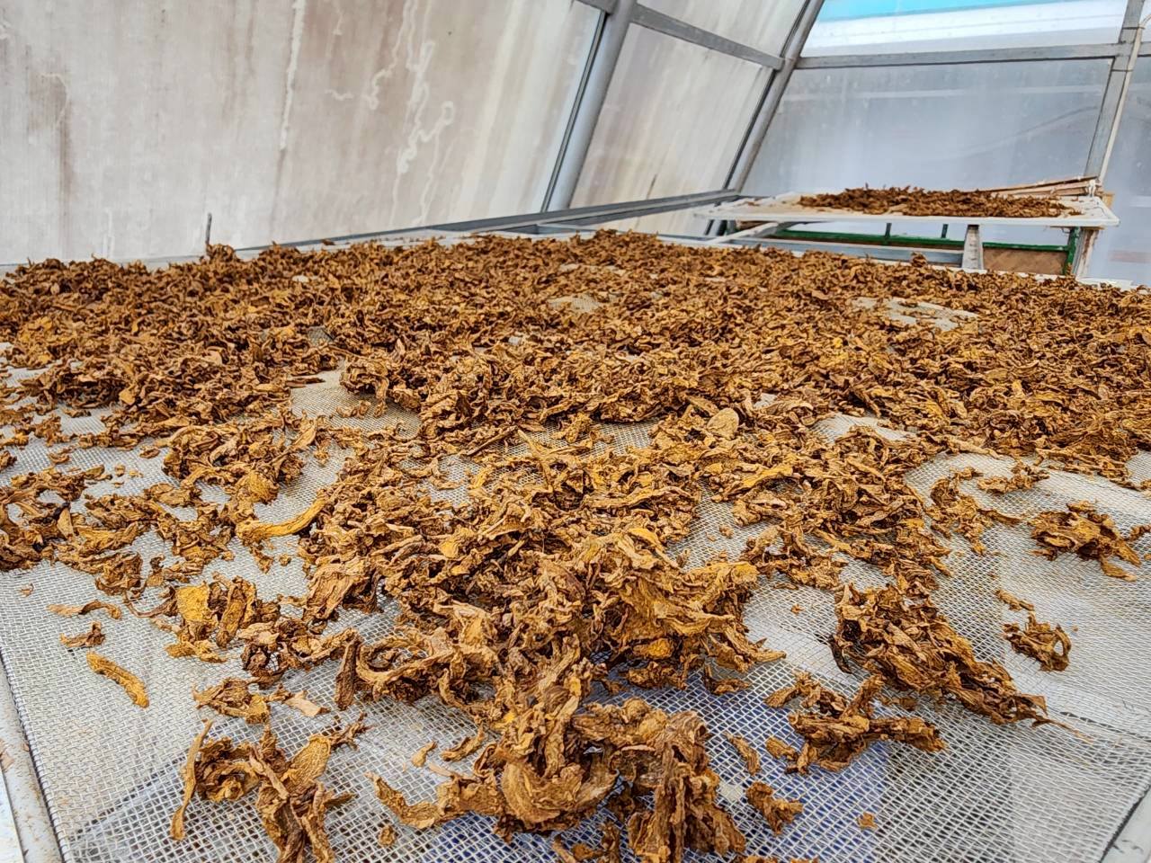 title - กพก. ลงพื้นที่แปลงใหญ่สมุนไพร ตำบลต้นยวน อำเภอพนม จังหวัดสุราษฎร์ธานี