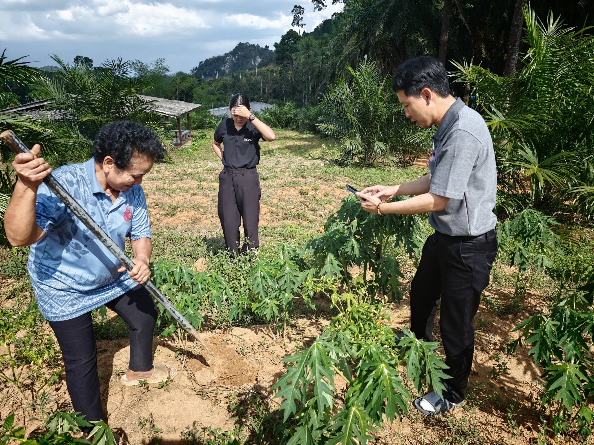 title - กพก. ลงพื้นที่แปลงใหญ่สมุนไพร ตำบลต้นยวน อำเภอพนม จังหวัดสุราษฎร์ธานี