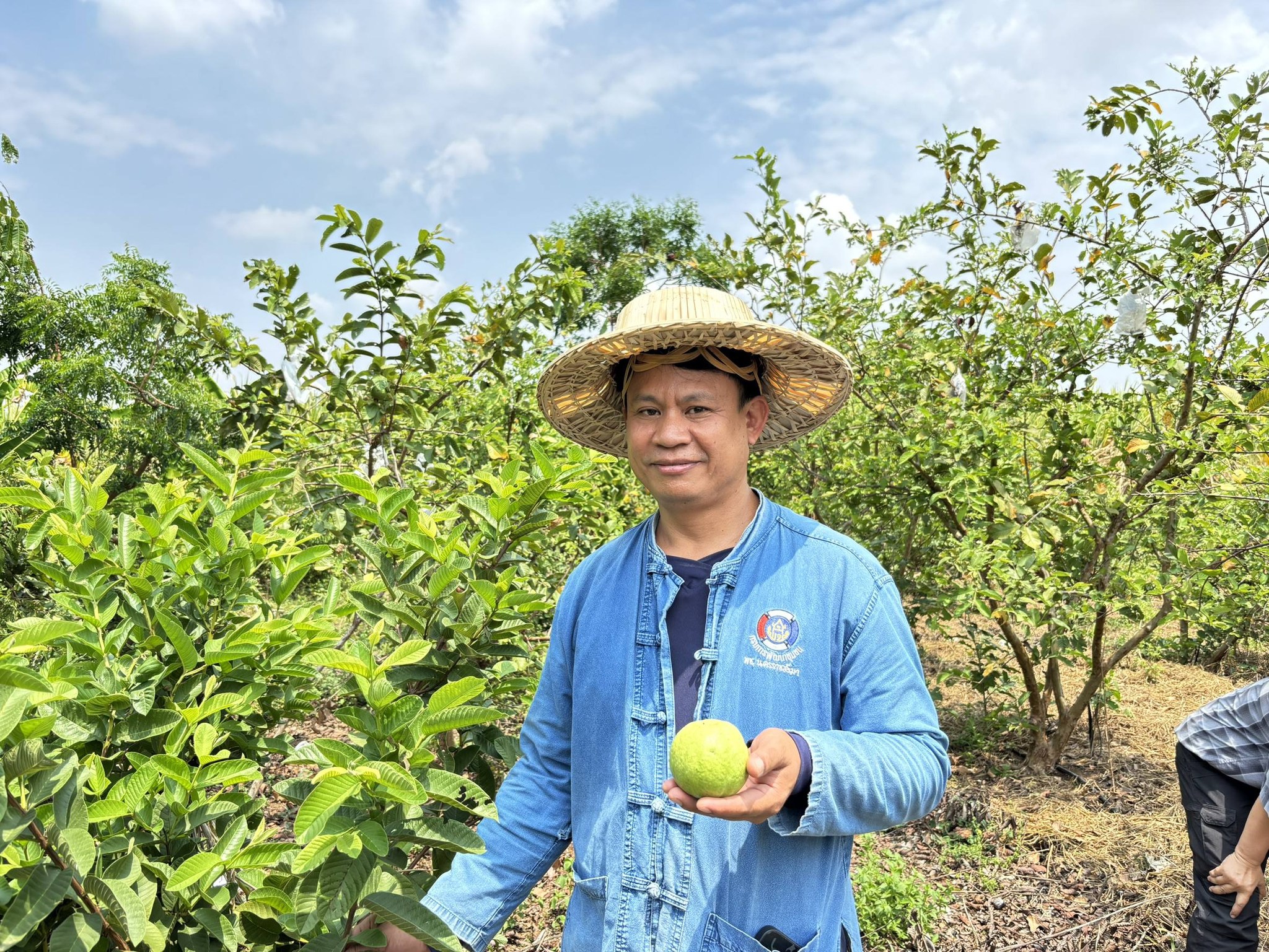 title - กพม. ติดตามผลการดำเนินงาน SF ต้นแบบ - เกษตรกร JAEC จ.นครราชสีมา