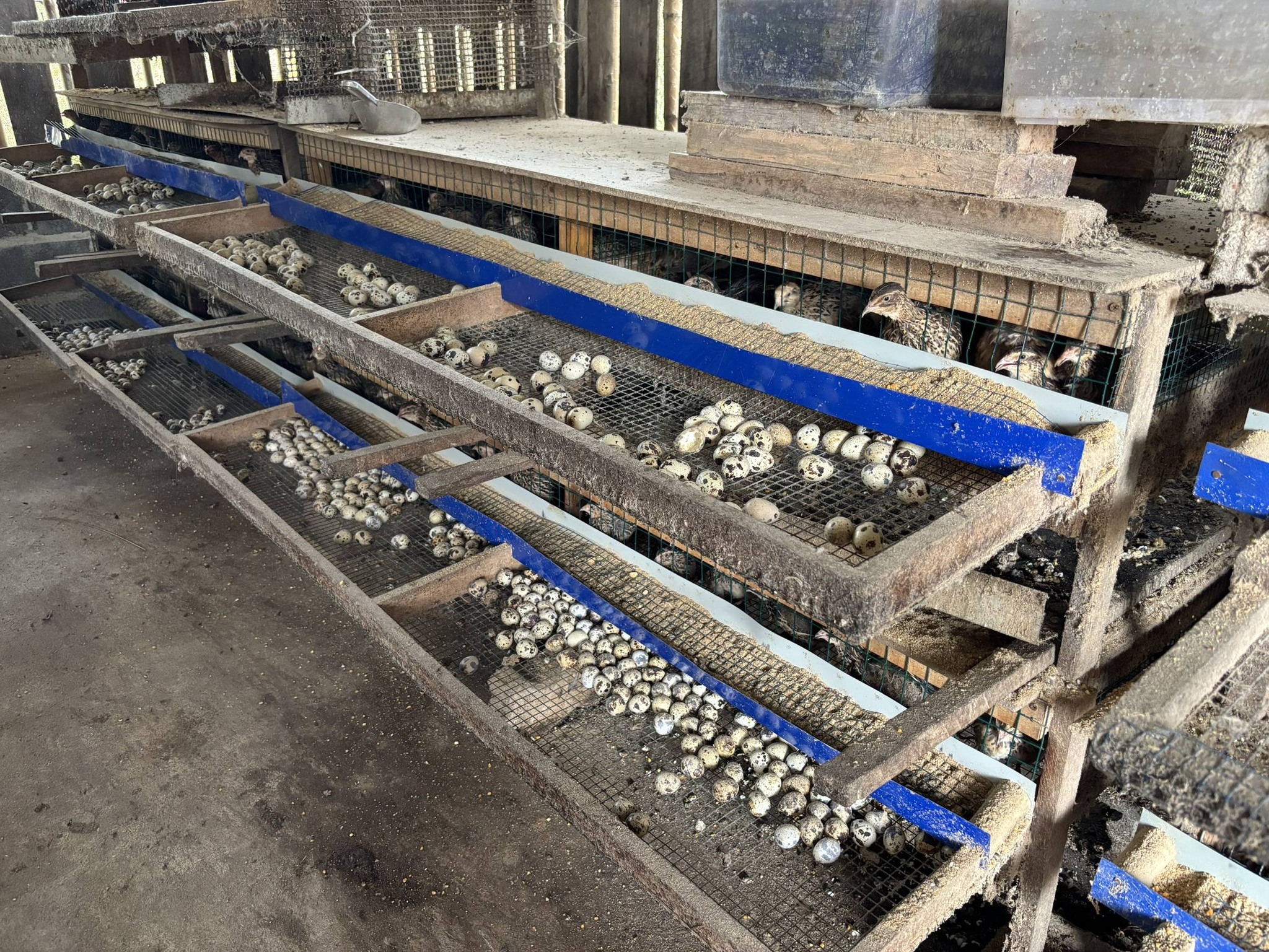 title - กพม. ติดตามผลการดำเนินงาน SF ต้นแบบ - เกษตรกร JAEC จ.นครราชสีมา