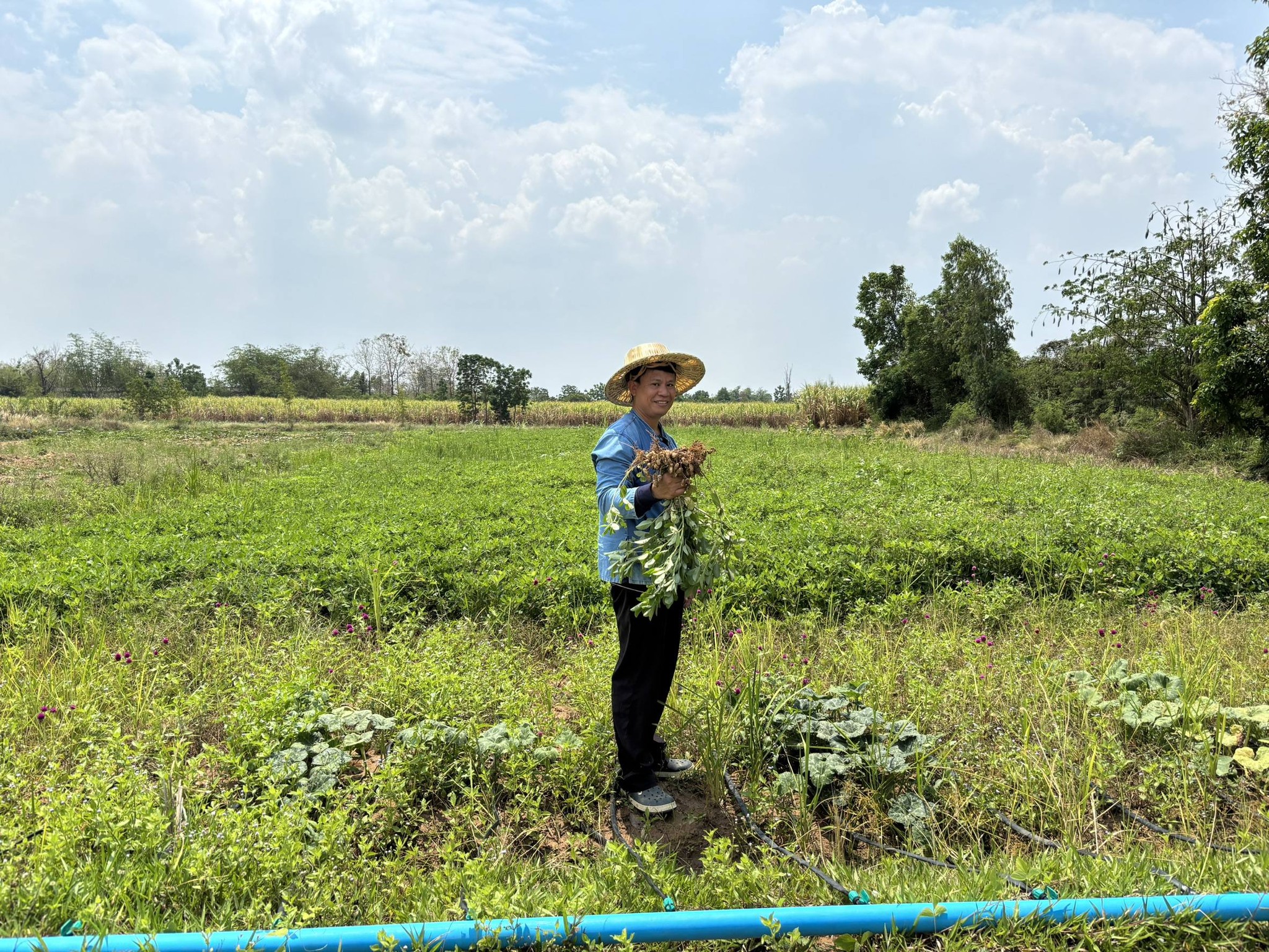title - กพม. ติดตามผลการดำเนินงาน SF ต้นแบบ - เกษตรกร JAEC จ.นครราชสีมา