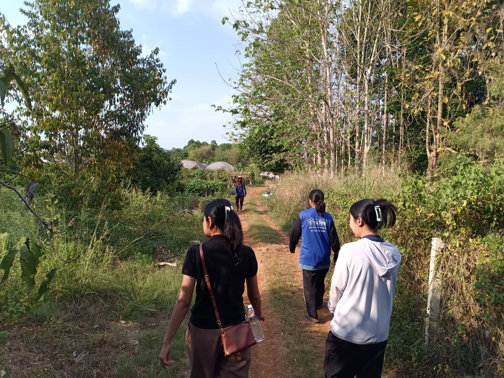 title - กพม. ติดตามผลการดำเนินงาน SF ต้นแบบ - เกษตรกร JAEC จ.นครราชสีมา