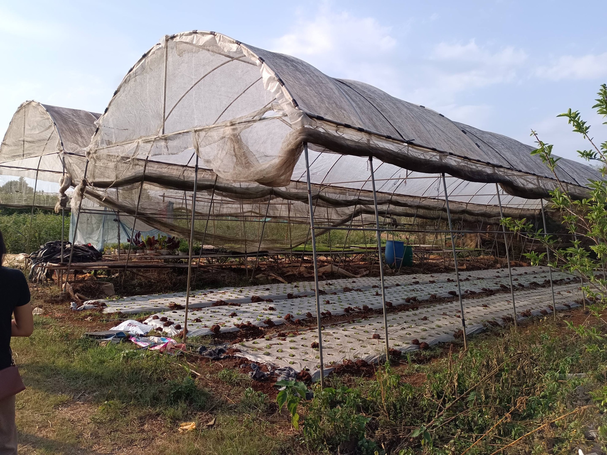 title - กพม. ติดตามผลการดำเนินงาน SF ต้นแบบ - เกษตรกร JAEC จ.นครราชสีมา