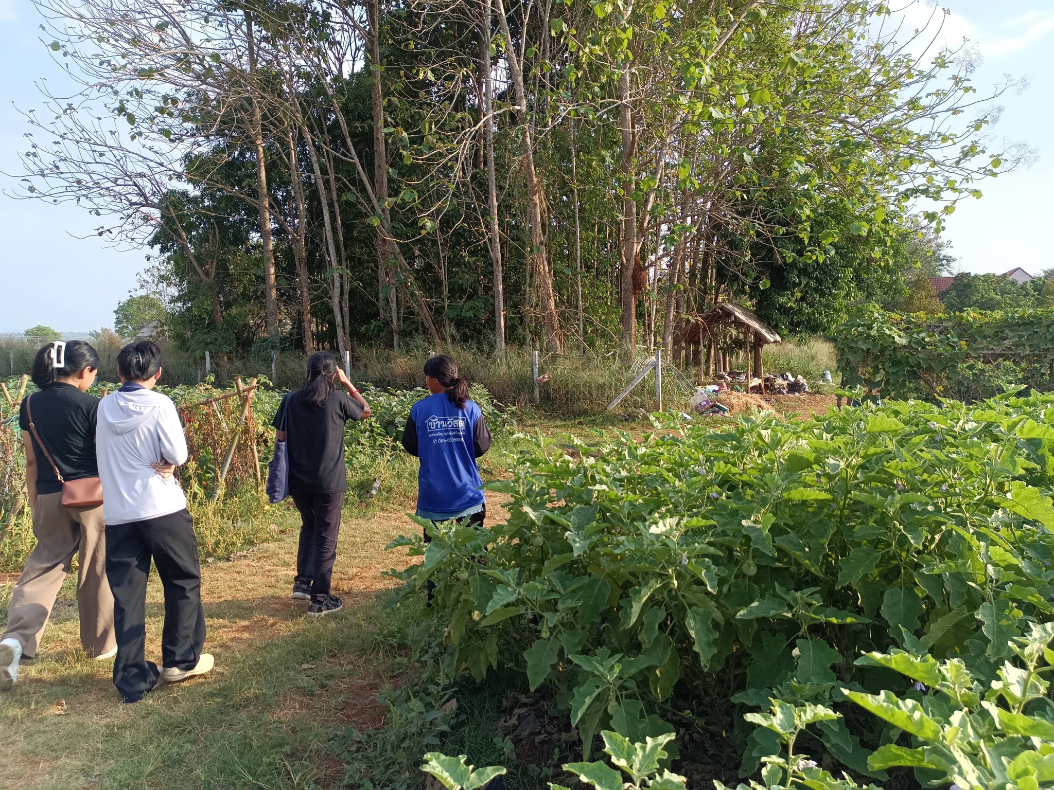 title - กพม. ติดตามผลการดำเนินงาน SF ต้นแบบ - เกษตรกร JAEC จ.นครราชสีมา