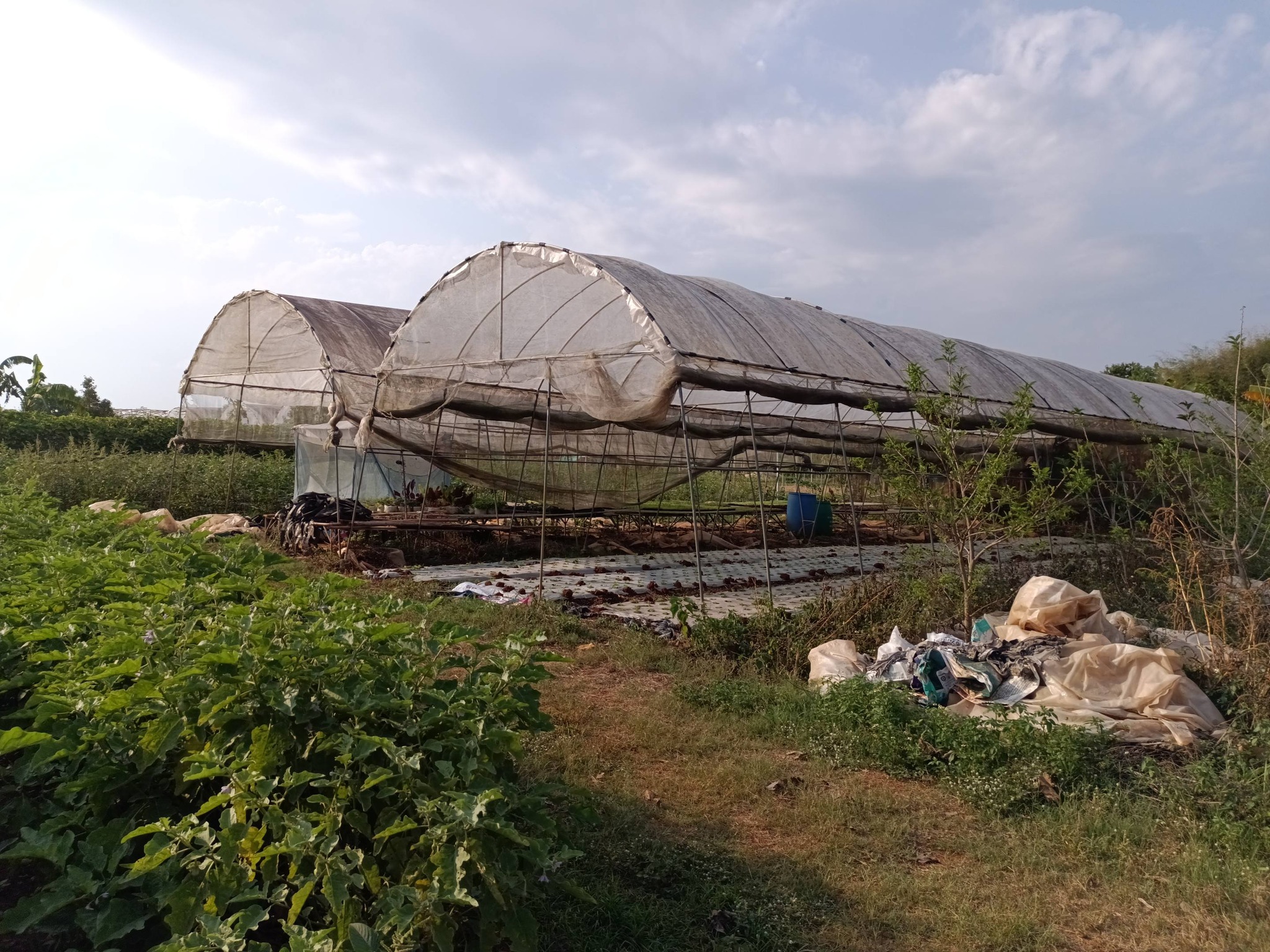 title - กพม. ติดตามผลการดำเนินงาน SF ต้นแบบ - เกษตรกร JAEC จ.นครราชสีมา