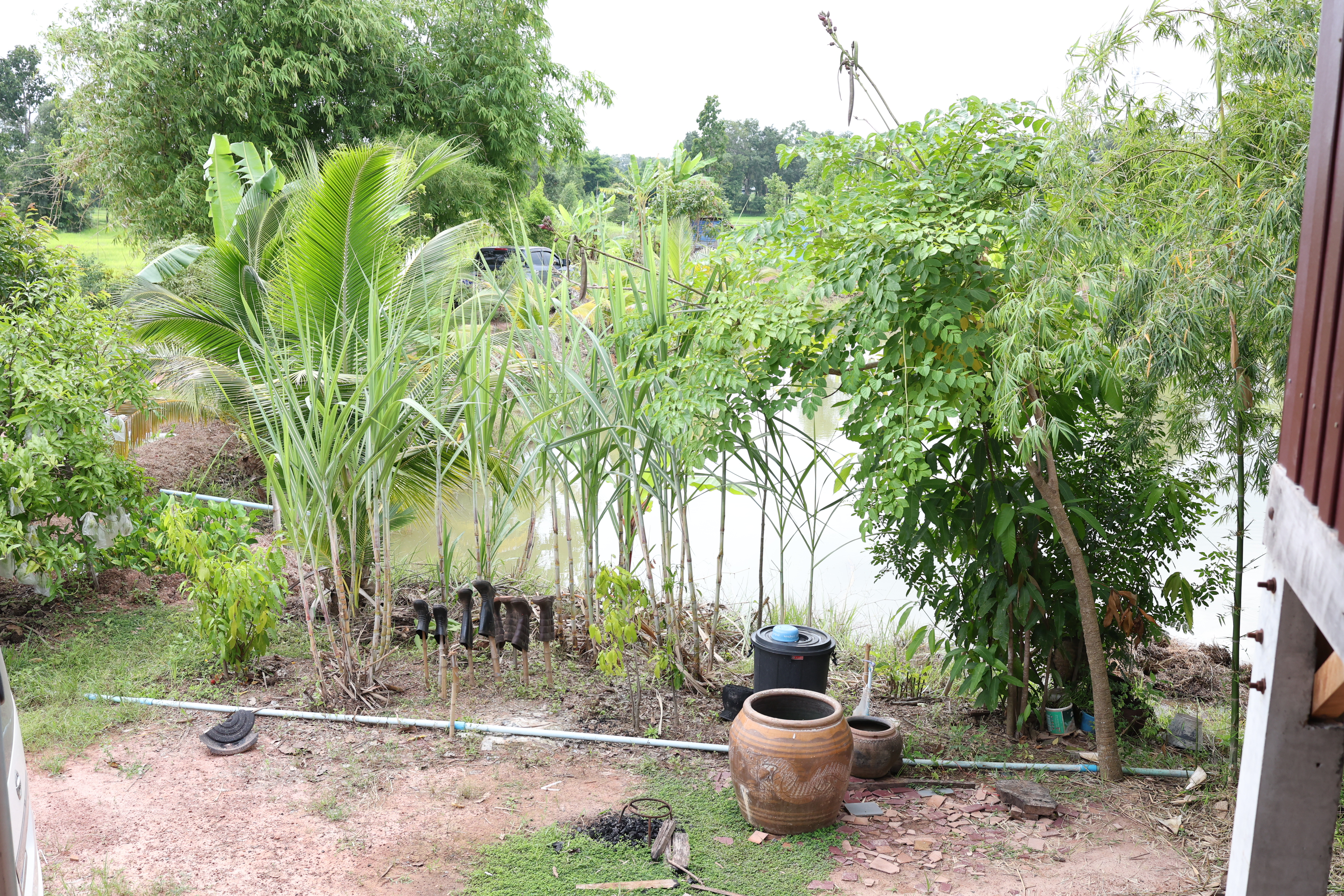title - กพม. ติดตามปราดเปรื่องต้นแบบสกลนคร ชูไม้ผลเน้นเกษตรผสมผสานสร้างความยั่งยืน