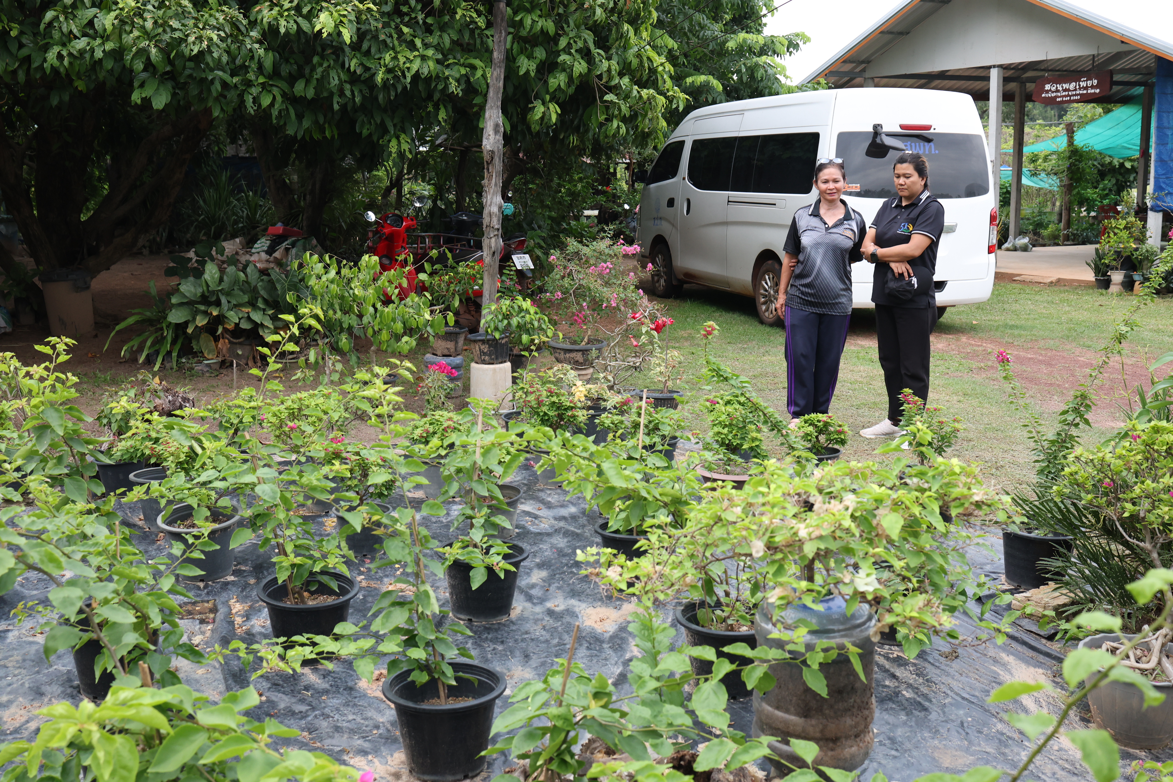 title - กพม. ติดตามปราดเปรื่องต้นแบบสกลนคร ชูไม้ผลเน้นเกษตรผสมผสานสร้างความยั่งยืน