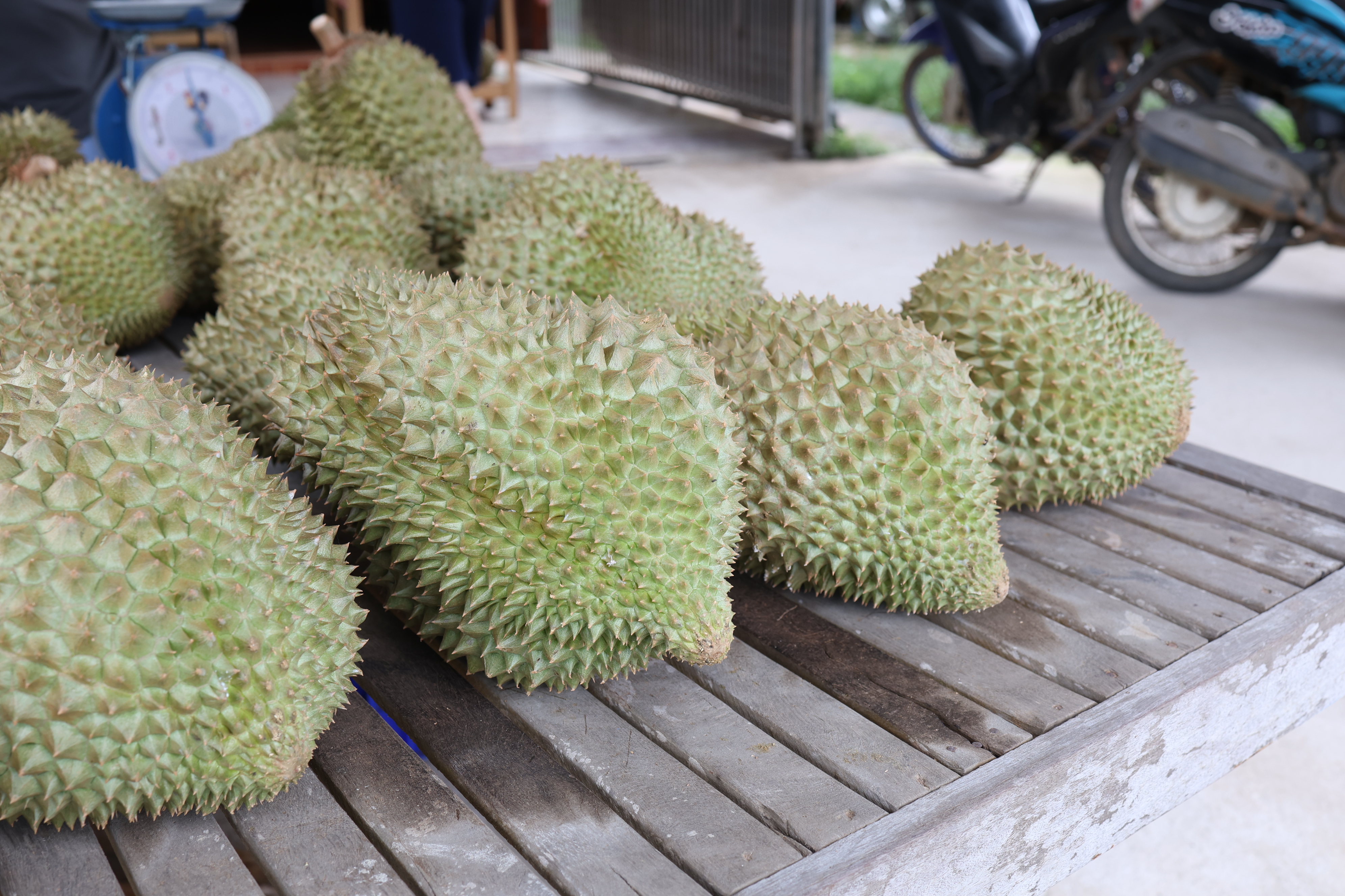 title - กพม. ตามต่อ Smart Farmer ต้นแบบอุดรธานี ของดีทุเรียนคุณภาพ