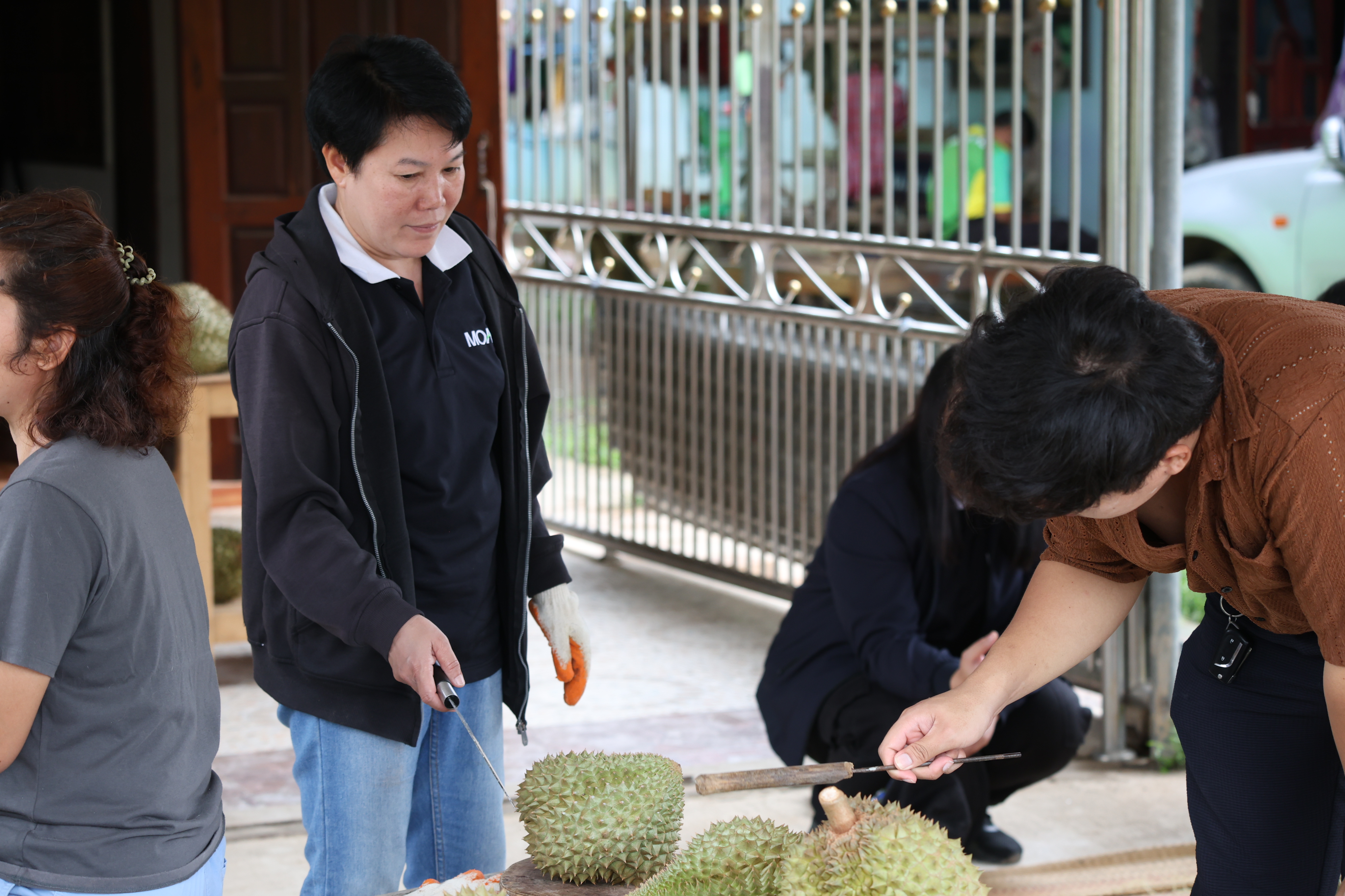 title - กพม. ตามต่อ Smart Farmer ต้นแบบอุดรธานี ของดีทุเรียนคุณภาพ