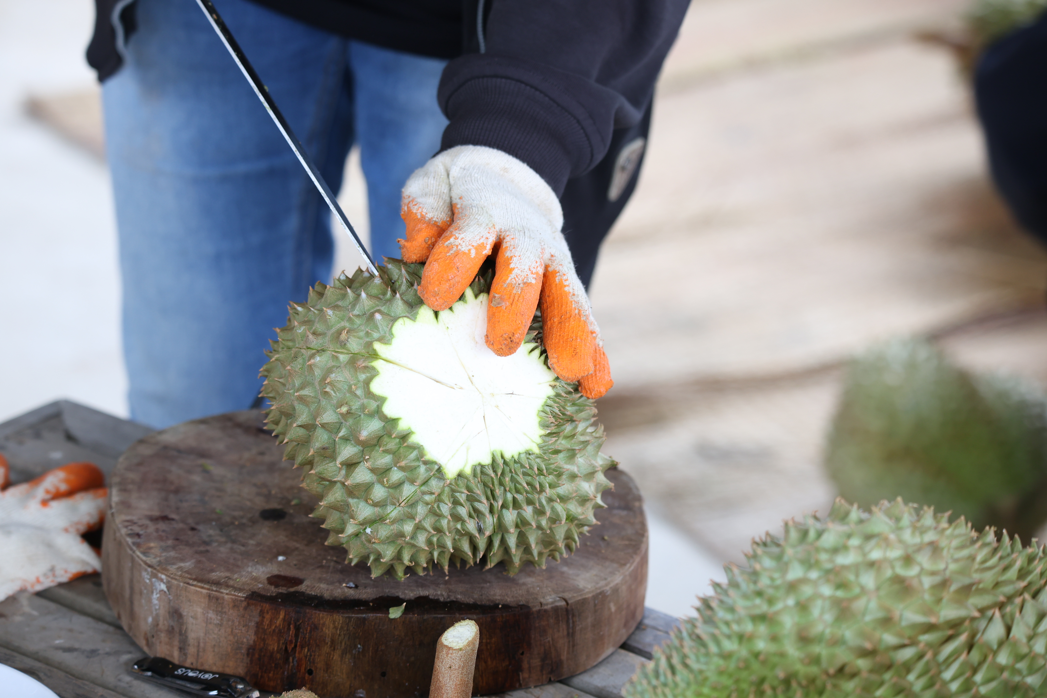 title - กพม. ตามต่อ Smart Farmer ต้นแบบอุดรธานี ของดีทุเรียนคุณภาพ