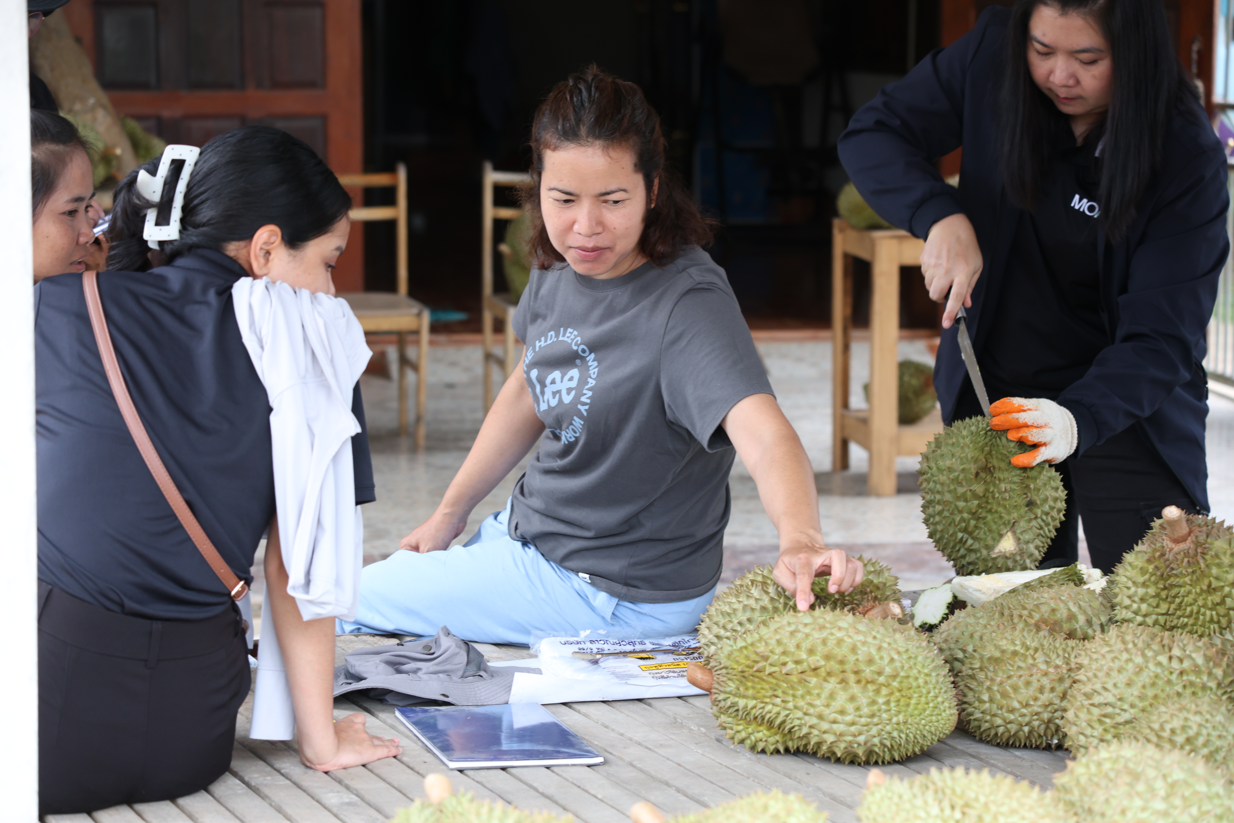 title - กพม. ตามต่อ Smart Farmer ต้นแบบอุดรธานี ของดีทุเรียนคุณภาพ