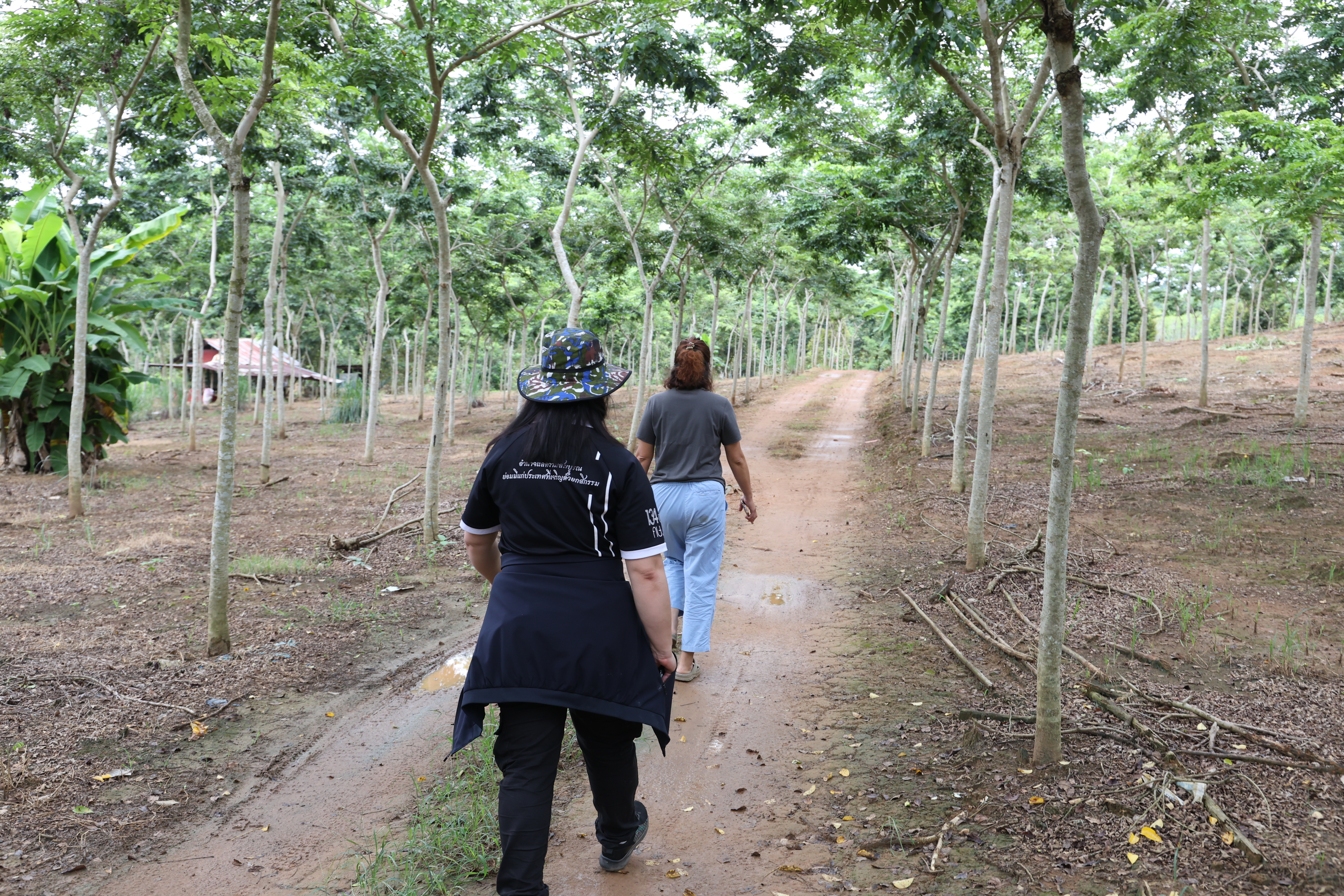 title - กพม. ตามต่อ Smart Farmer ต้นแบบอุดรธานี ของดีทุเรียนคุณภาพ
