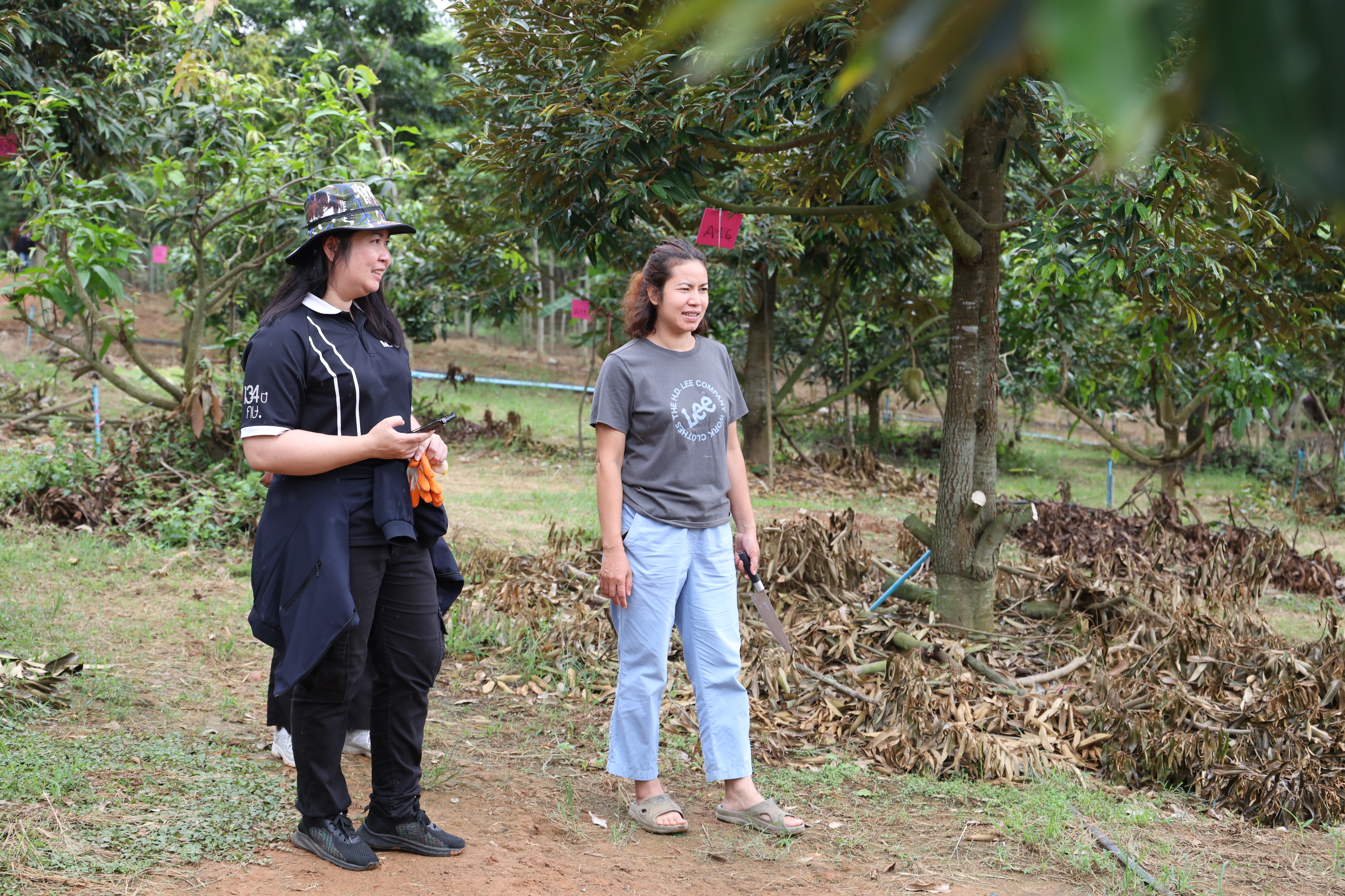 title - กพม. ตามต่อ Smart Farmer ต้นแบบอุดรธานี ของดีทุเรียนคุณภาพ