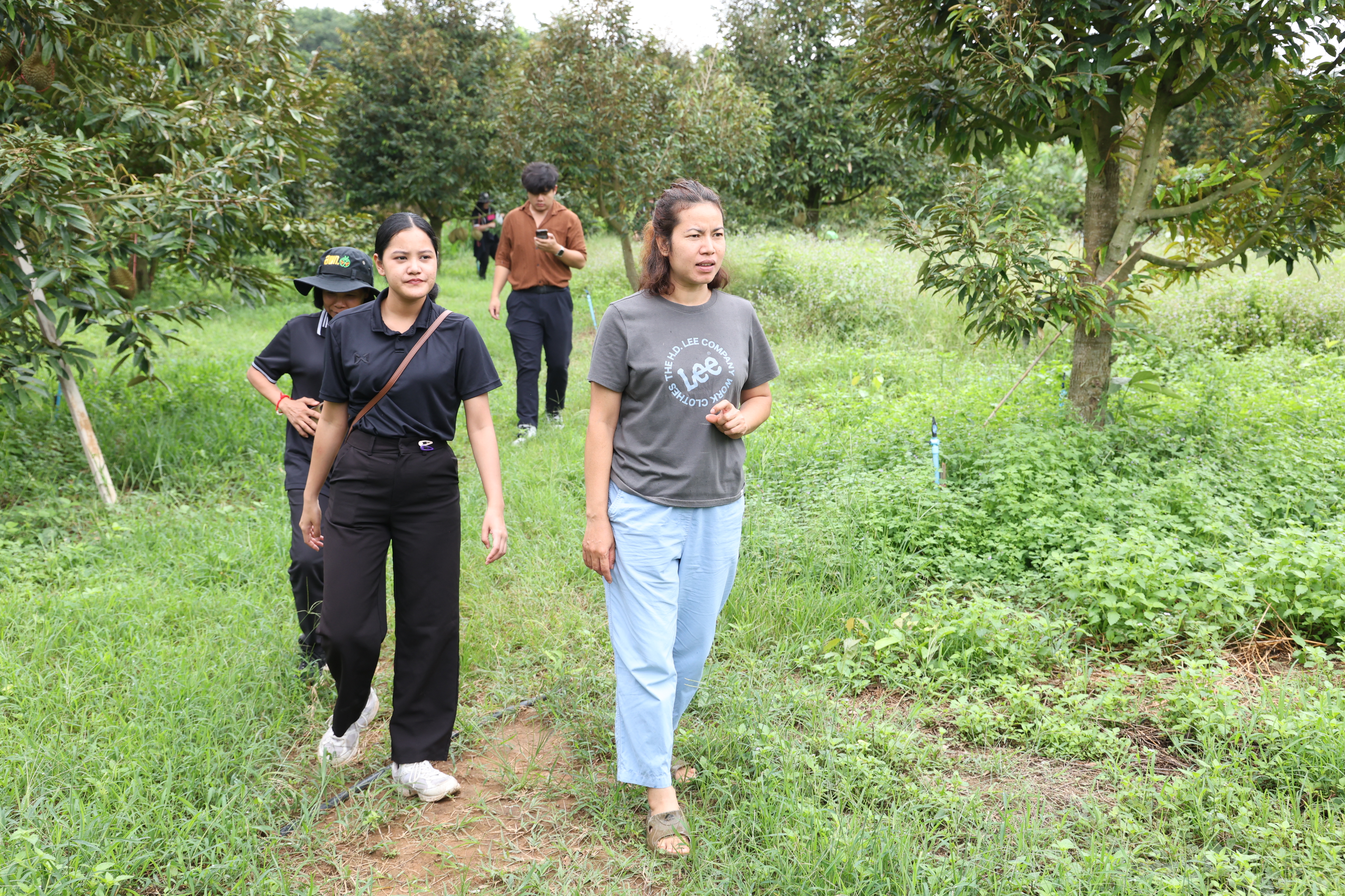 title - กพม. ตามต่อ Smart Farmer ต้นแบบอุดรธานี ของดีทุเรียนคุณภาพ