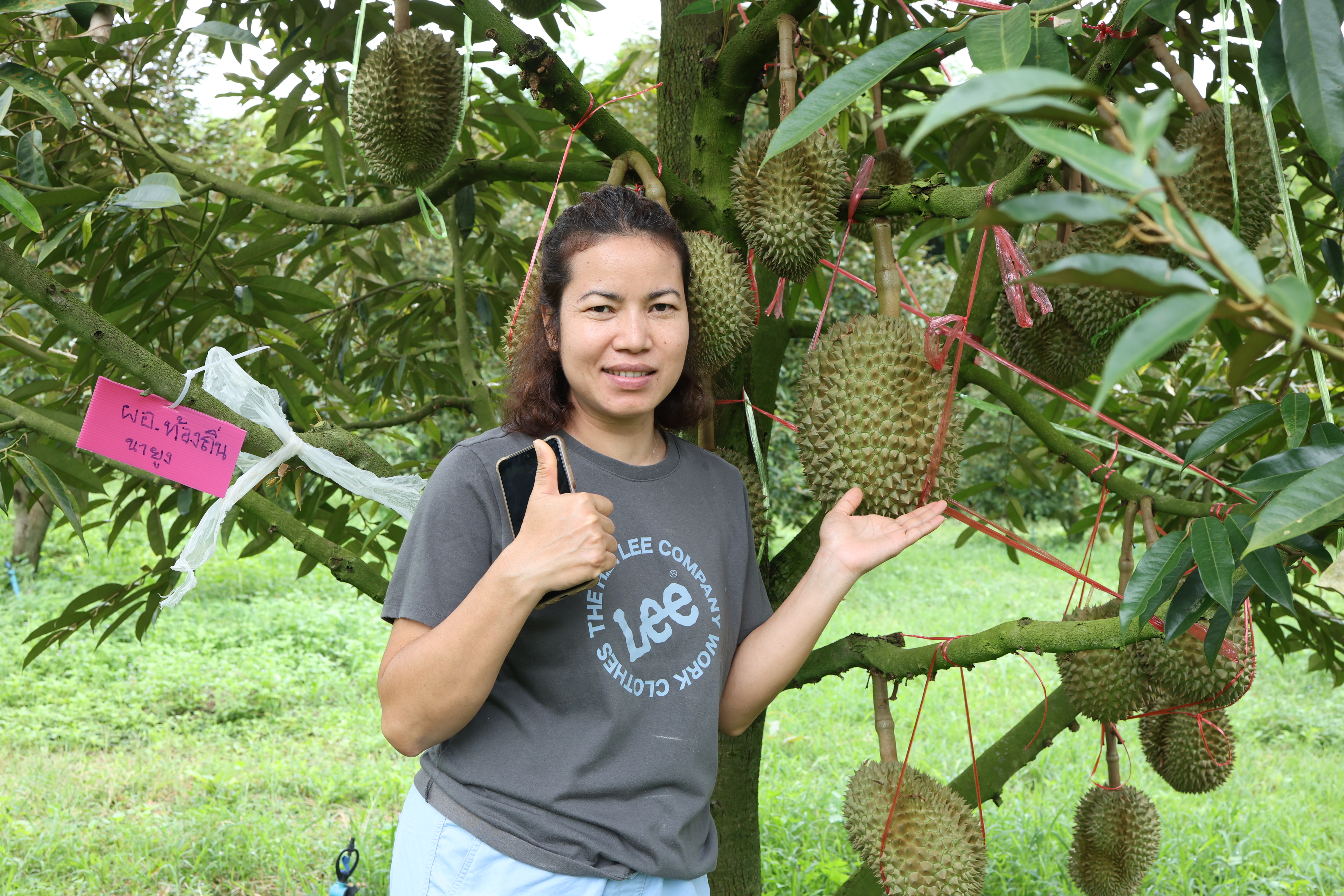 title - กพม. ตามต่อ Smart Farmer ต้นแบบอุดรธานี ของดีทุเรียนคุณภาพ