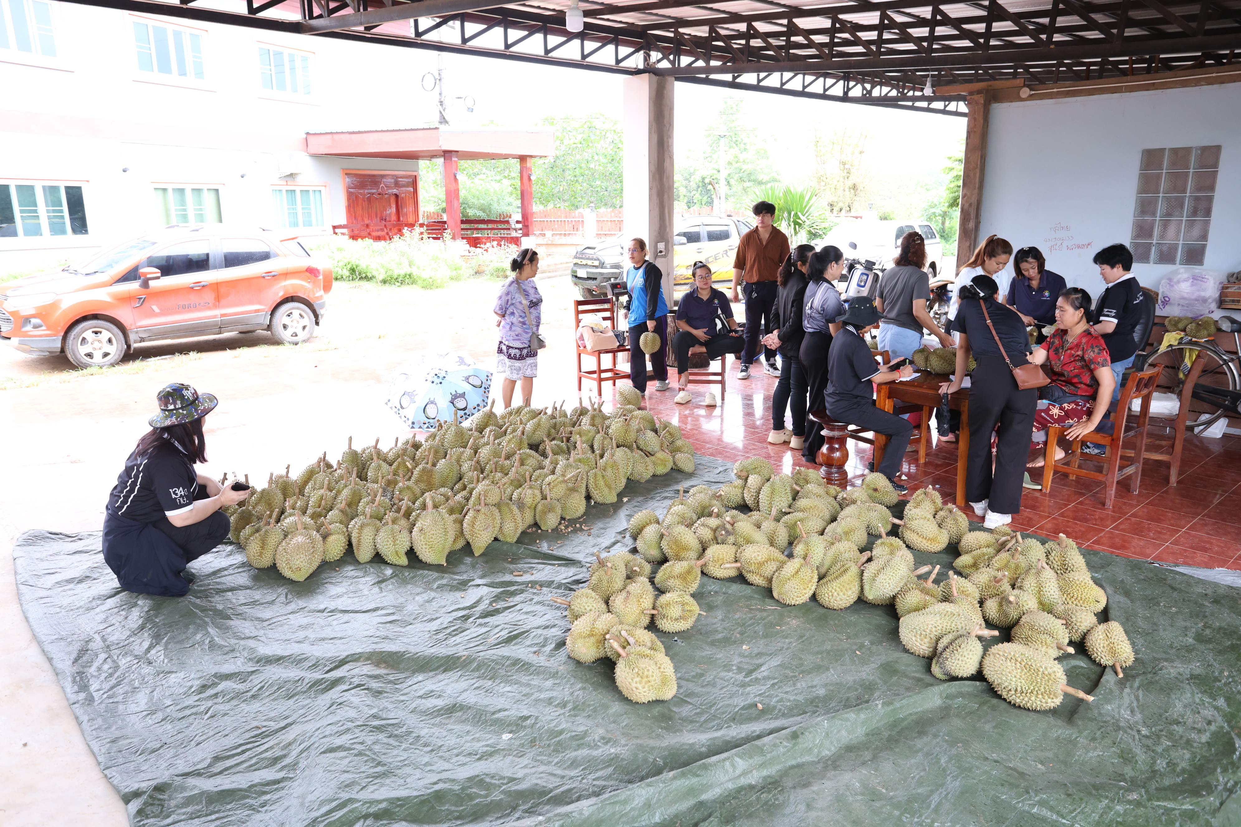 title - กพม. ตามต่อ Smart Farmer ต้นแบบอุดรธานี ของดีทุเรียนคุณภาพ