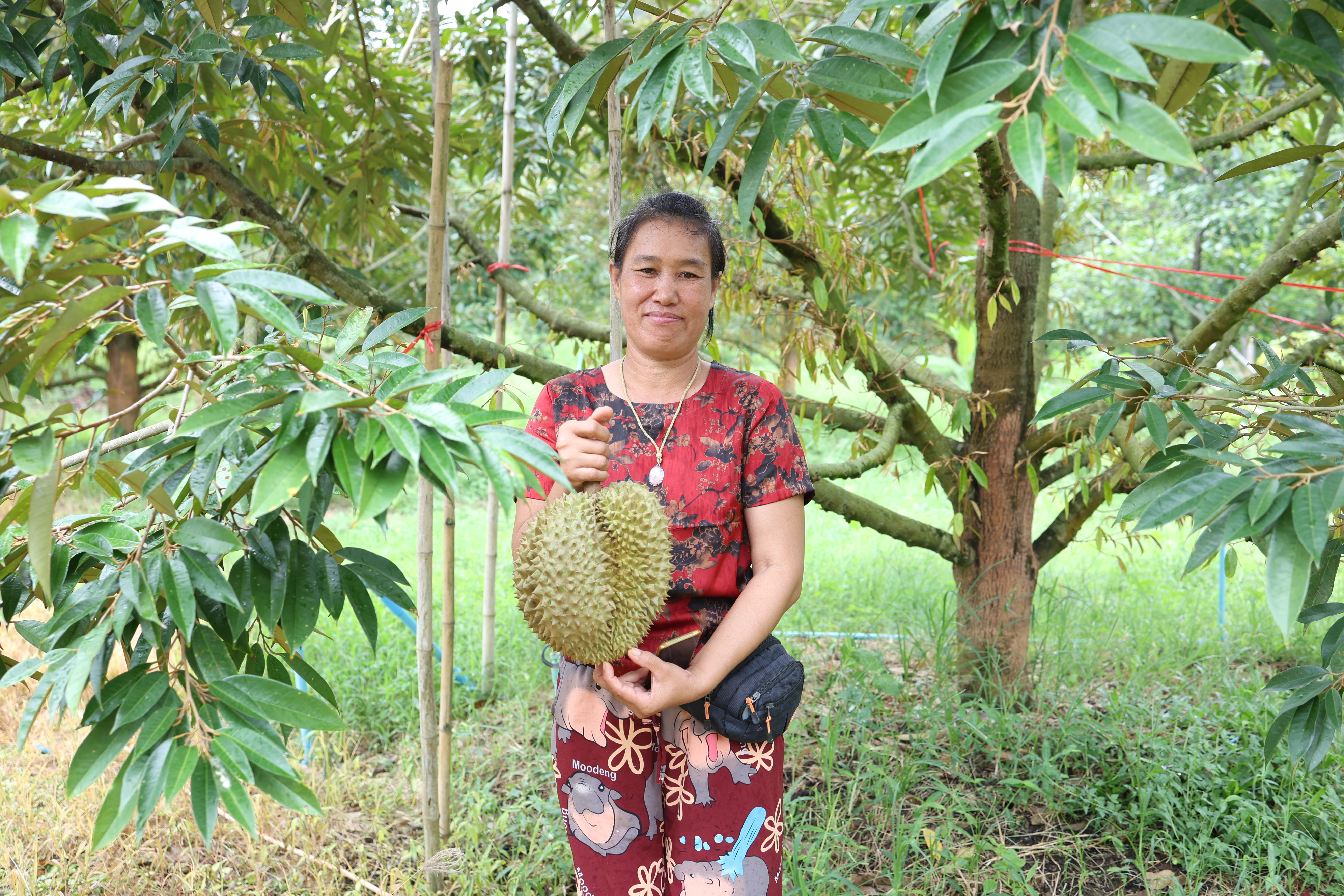 title - กพม. ตามต่อ Smart Farmer ต้นแบบอุดรธานี ของดีทุเรียนคุณภาพ