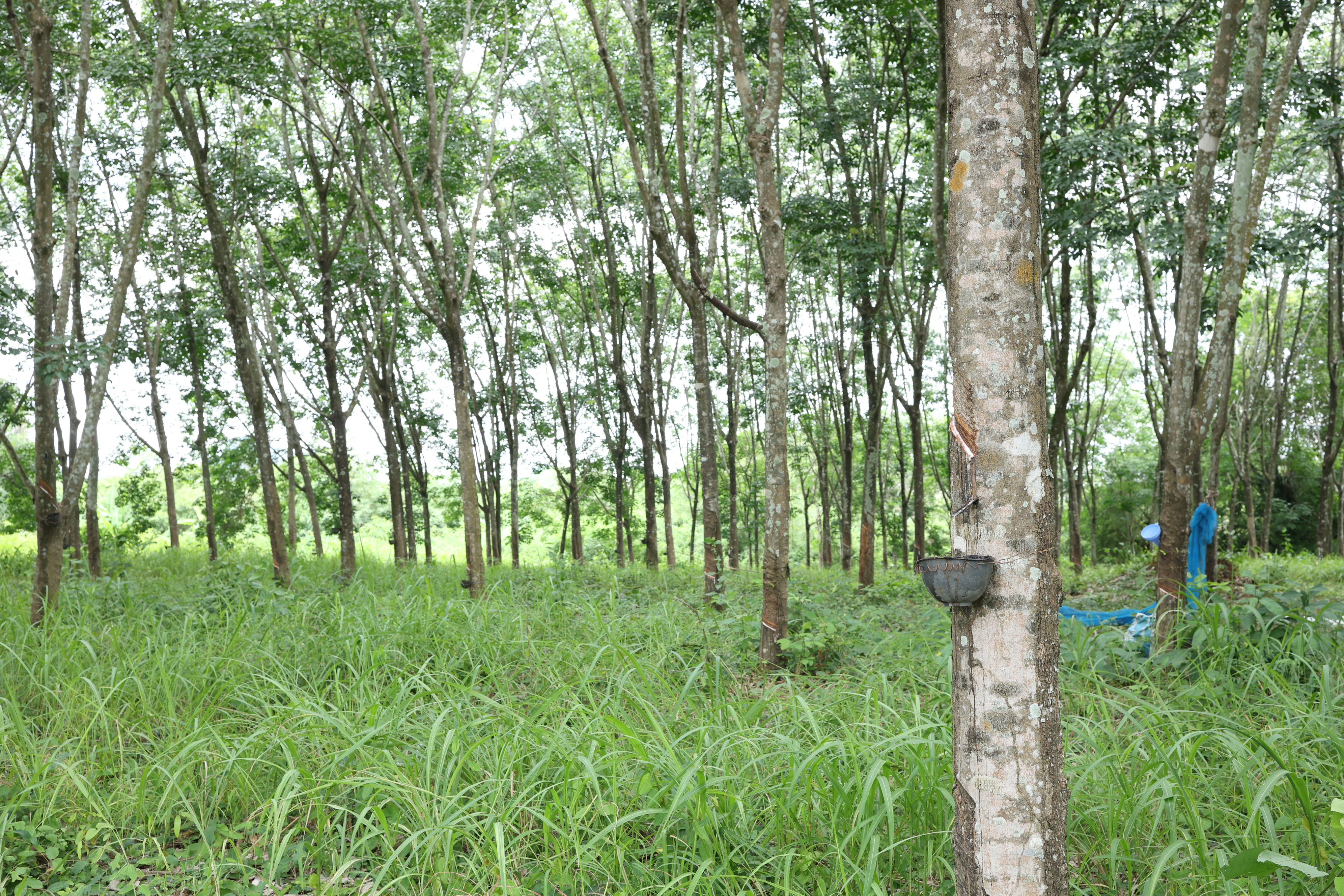 title - กพม. เช็กอิน 