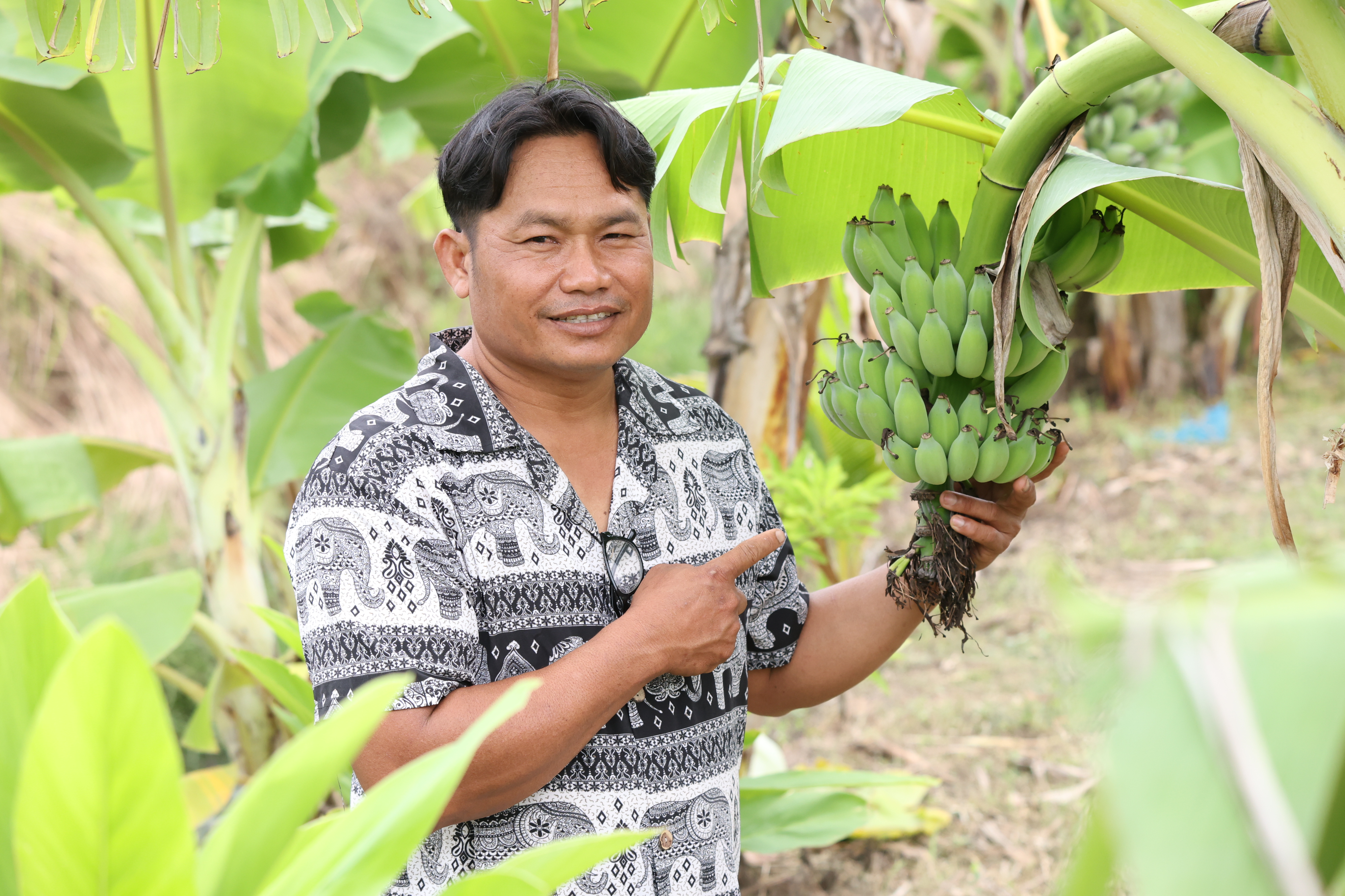 title - กพม. ติดตามต้นแบบ Smart Farmer หนองกุงใหญ่ ปธ.แปลงใหญ่นาข้าว