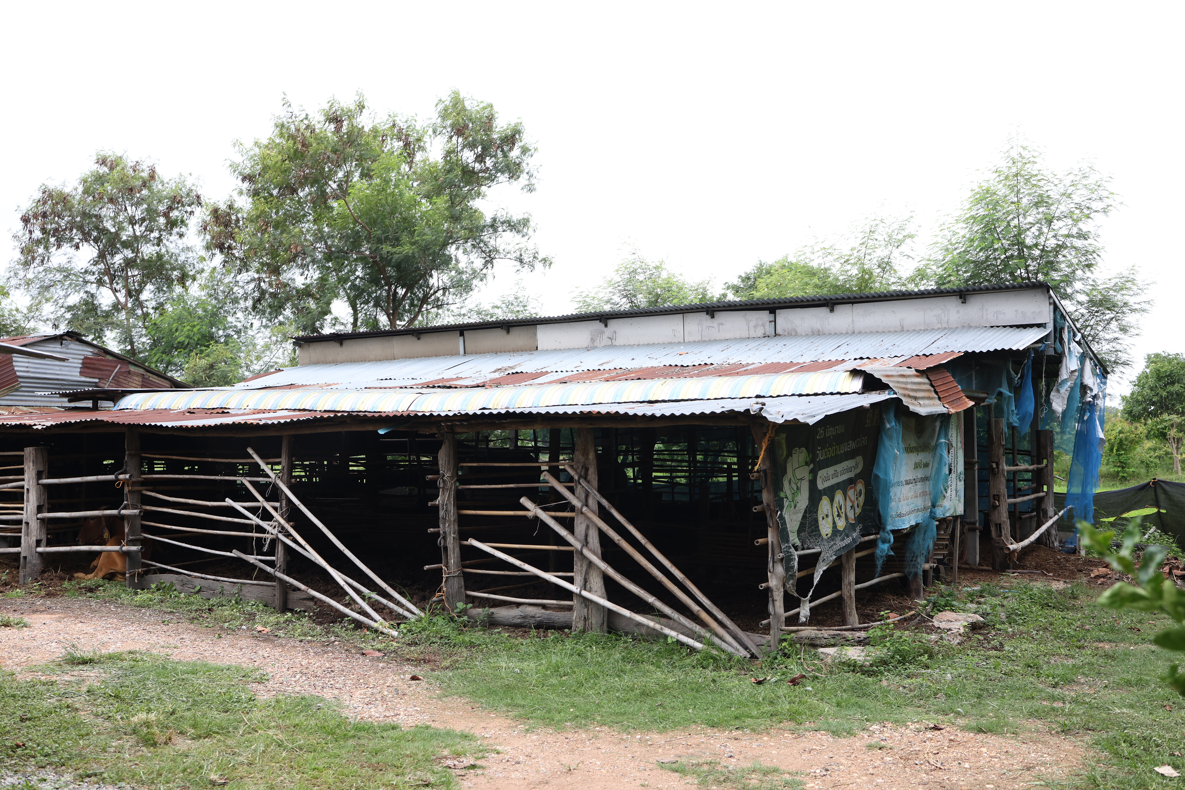 title - กพม. ติดตามต้นแบบ Smart Farmer หนองกุงใหญ่ ปธ.แปลงใหญ่นาข้าว