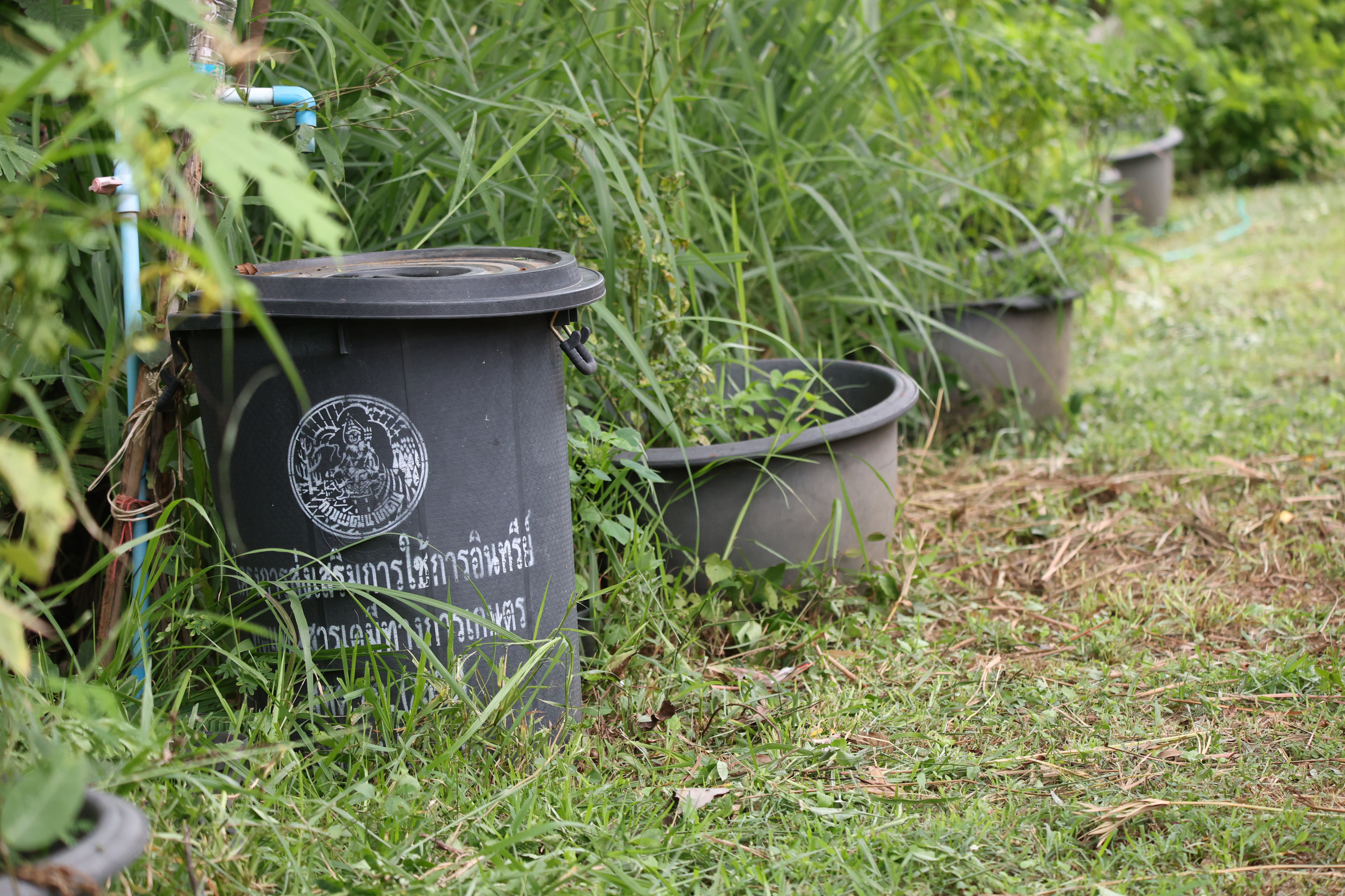 title - กพม. ติดตามต้นแบบ Smart Farmer หนองกุงใหญ่ ปธ.แปลงใหญ่นาข้าว