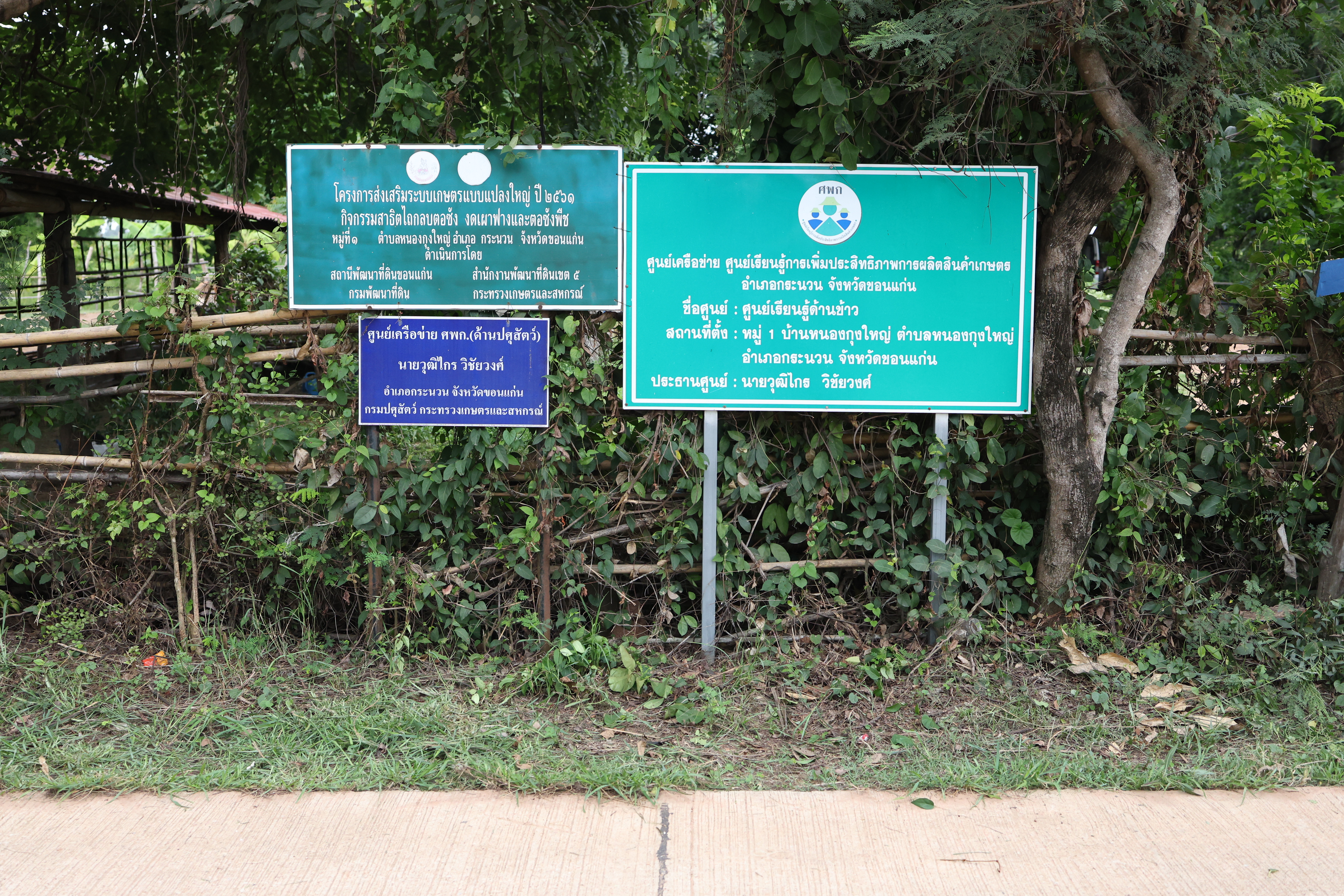 title - กพม. ติดตามต้นแบบ Smart Farmer หนองกุงใหญ่ ปธ.แปลงใหญ่นาข้าว