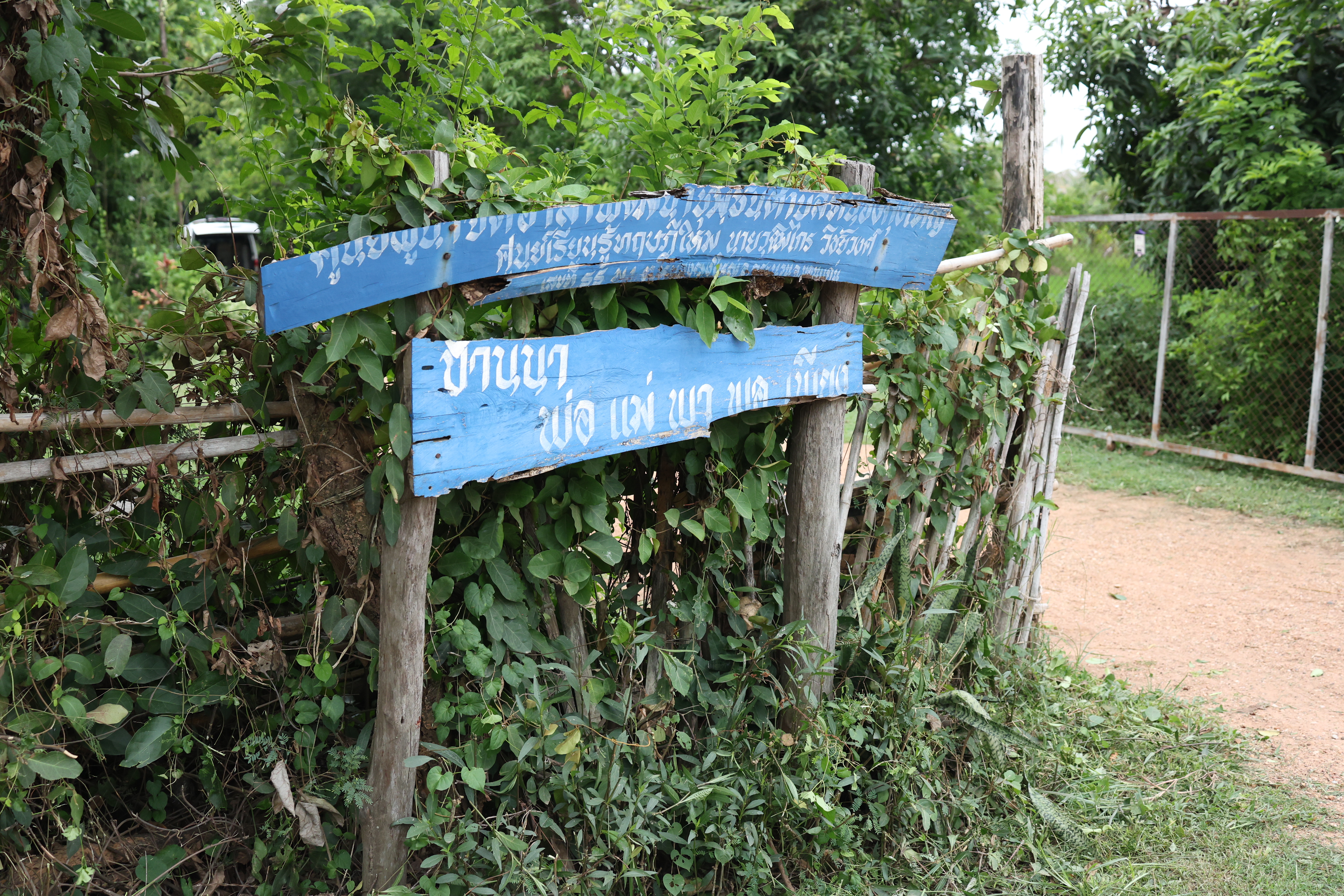 title - กพม. ติดตามต้นแบบ Smart Farmer หนองกุงใหญ่ ปธ.แปลงใหญ่นาข้าว