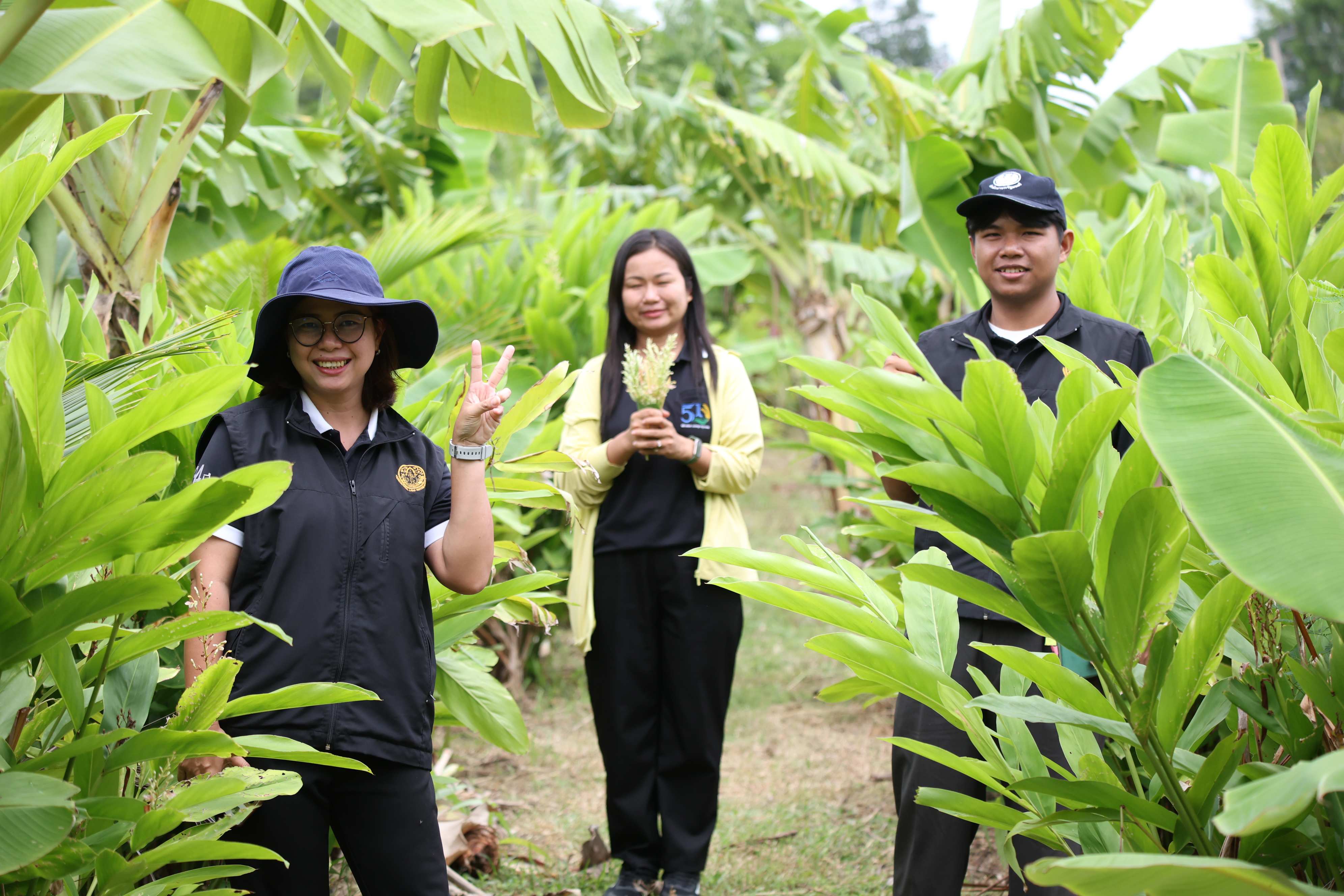 title - กพม. ติดตามต้นแบบ Smart Farmer หนองกุงใหญ่ ปธ.แปลงใหญ่นาข้าว
