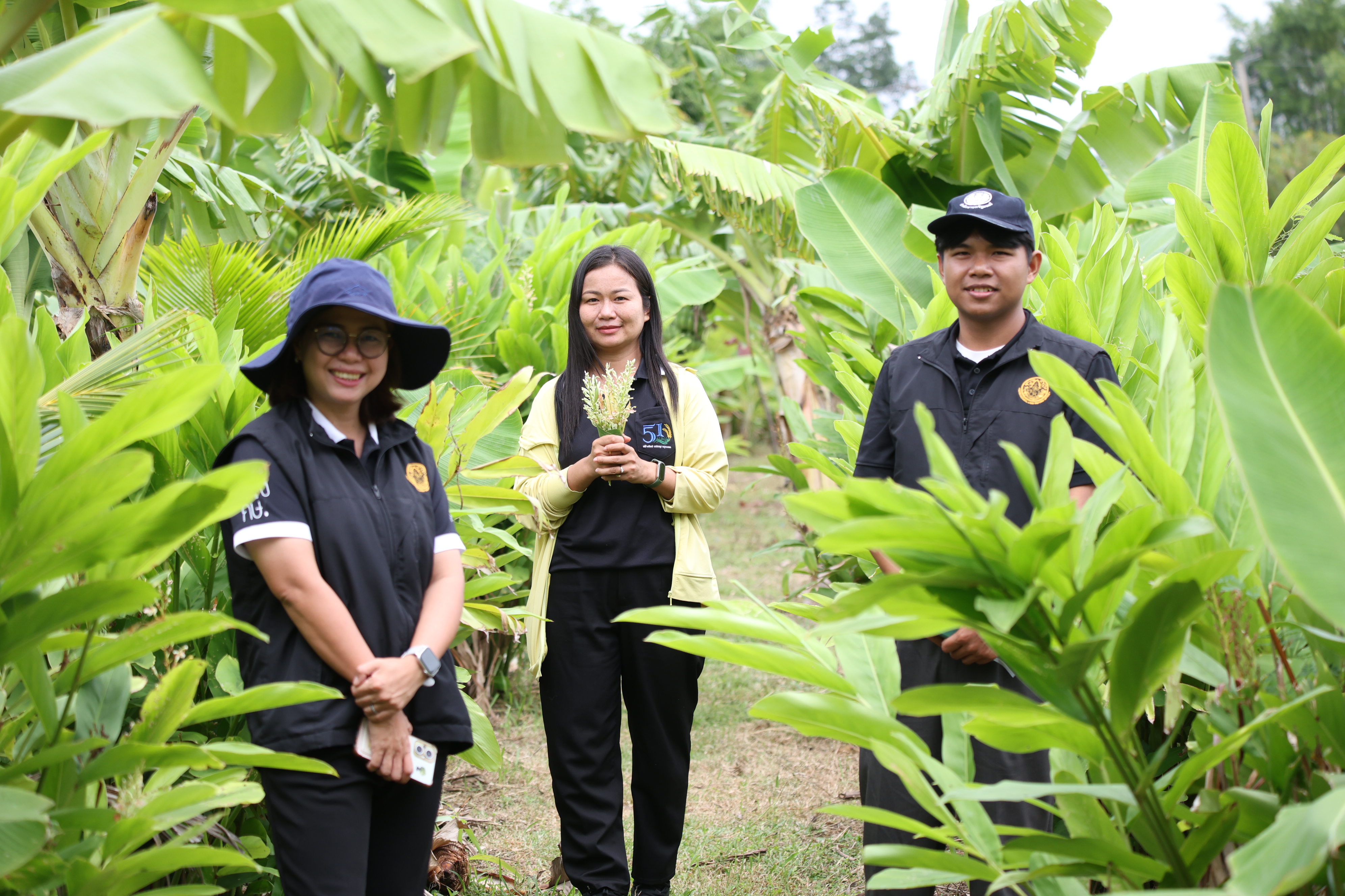 title - กพม. ติดตามต้นแบบ Smart Farmer หนองกุงใหญ่ ปธ.แปลงใหญ่นาข้าว
