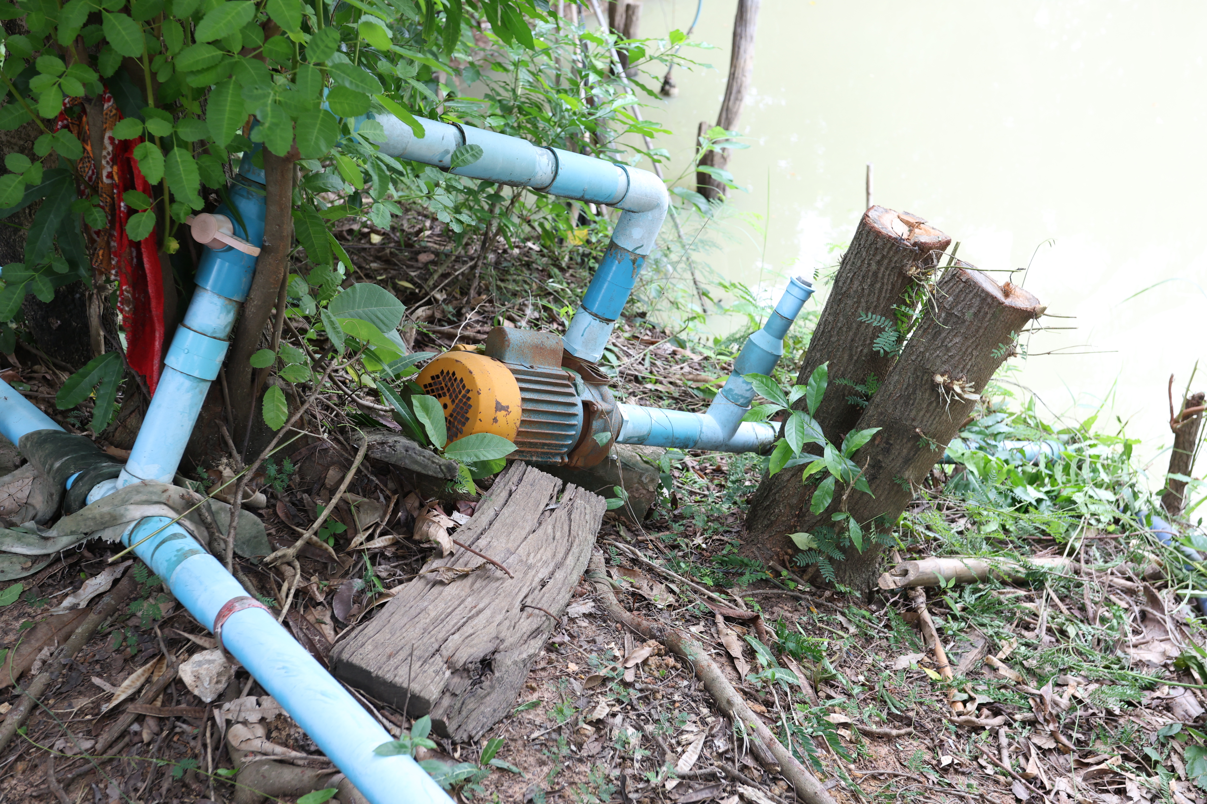 title - กพม. ติดตามต้นแบบ Smart Farmer หนองกุงใหญ่ ปธ.แปลงใหญ่นาข้าว