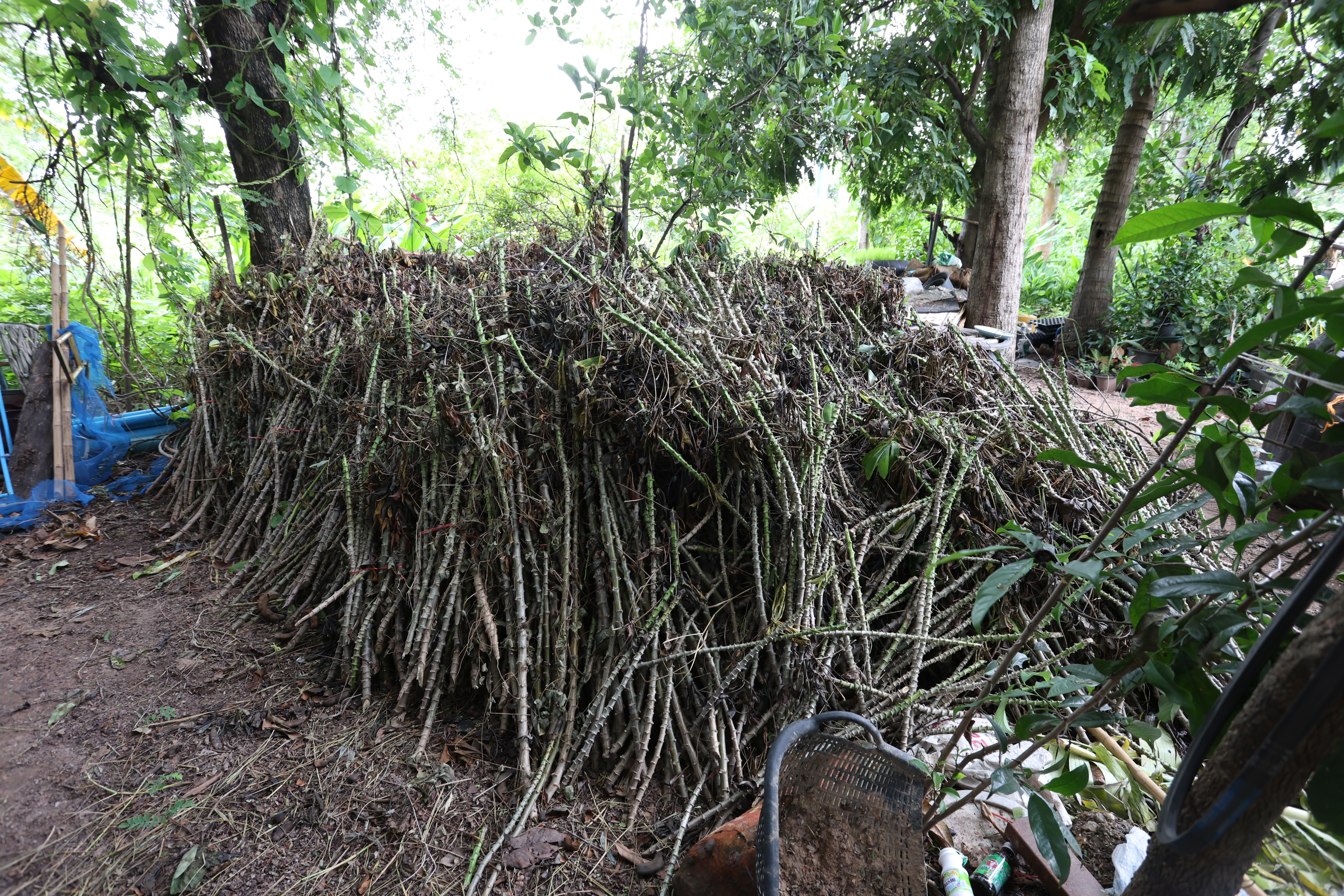title - กพม. ติดตามต้นแบบ Smart Farmer หนองกุงใหญ่ ปธ.แปลงใหญ่นาข้าว