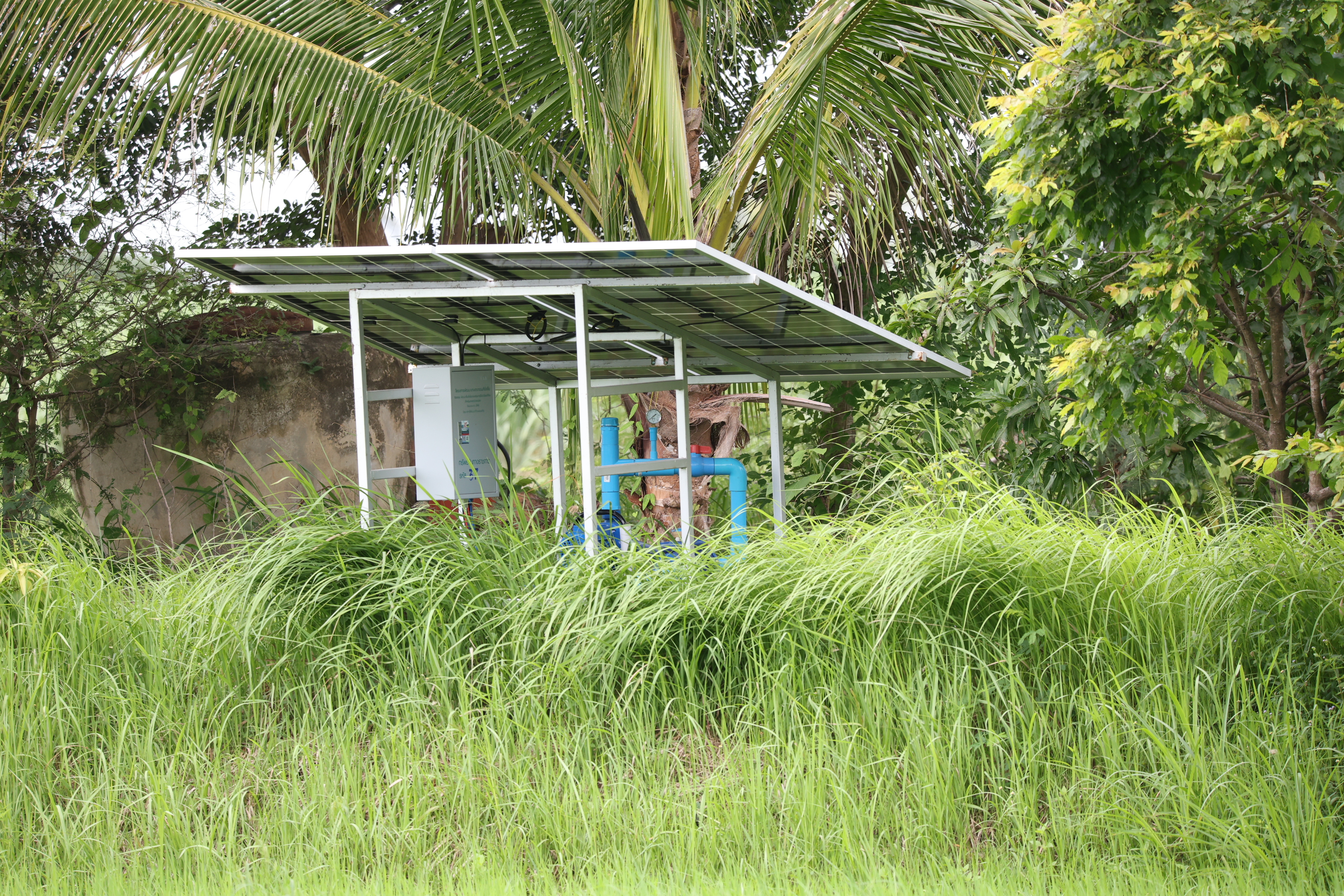 title - กพม. ติดตามต้นแบบ Smart Farmer หนองกุงใหญ่ ปธ.แปลงใหญ่นาข้าว