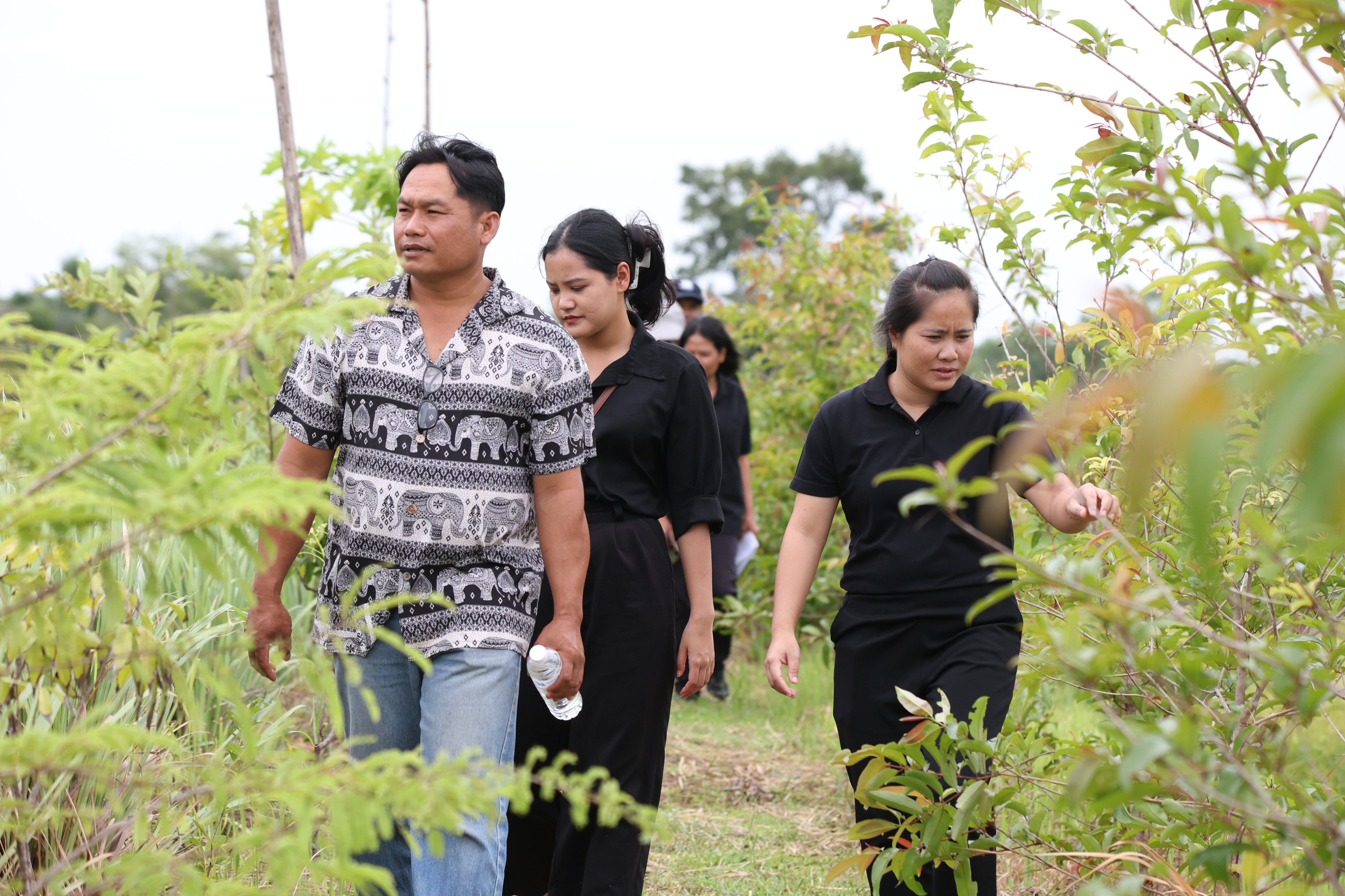 title - กพม. ติดตามต้นแบบ Smart Farmer หนองกุงใหญ่ ปธ.แปลงใหญ่นาข้าว