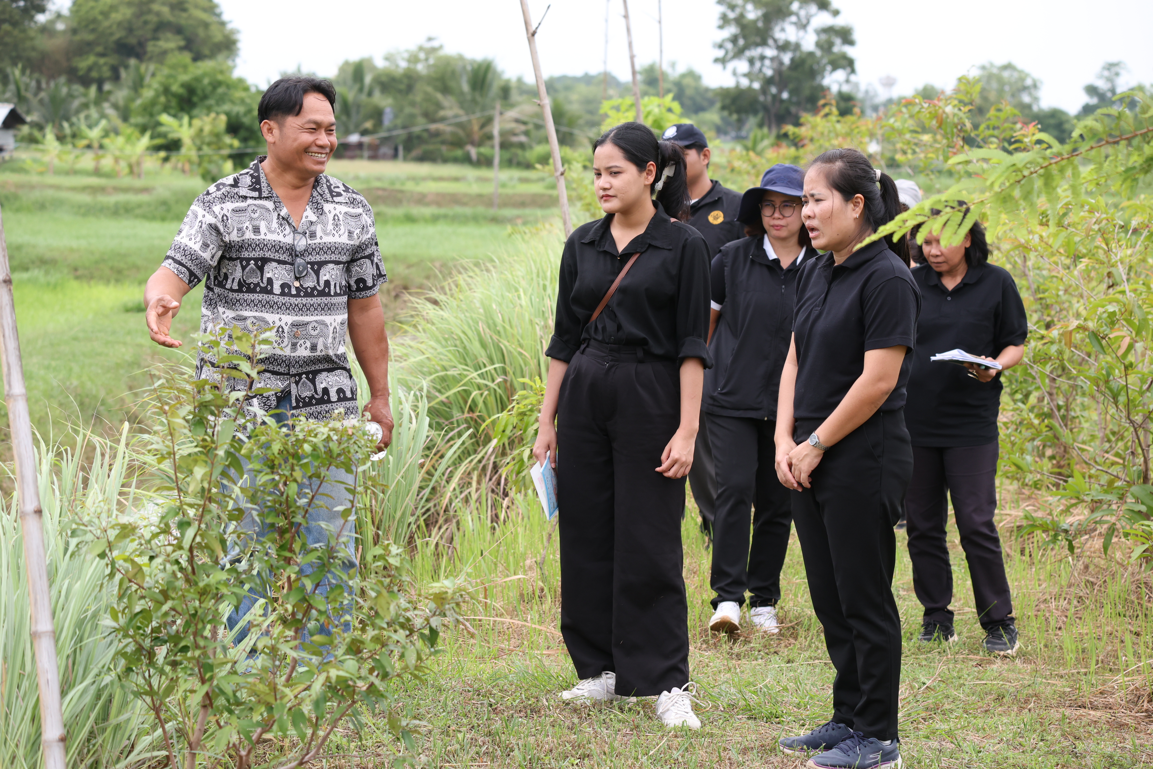 title - กพม. ติดตามต้นแบบ Smart Farmer หนองกุงใหญ่ ปธ.แปลงใหญ่นาข้าว