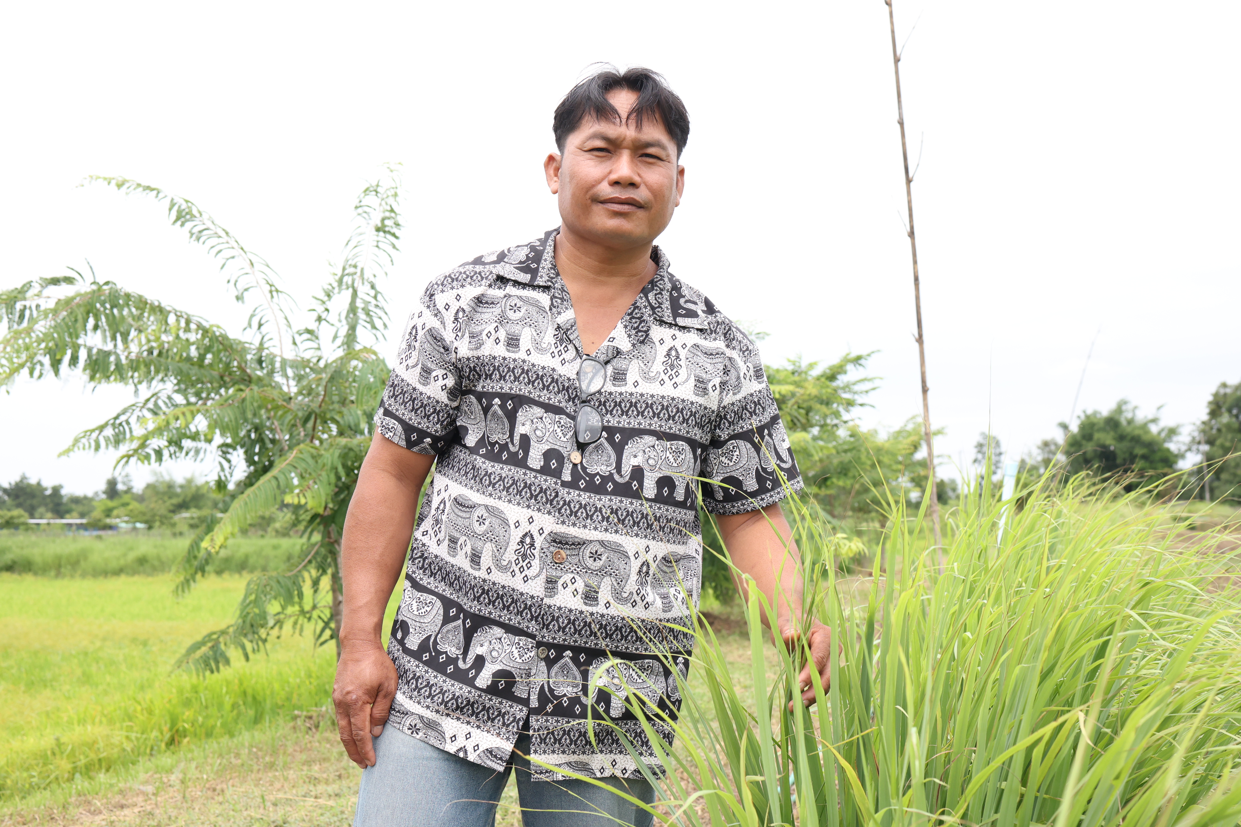 title - กพม. ติดตามต้นแบบ Smart Farmer หนองกุงใหญ่ ปธ.แปลงใหญ่นาข้าว